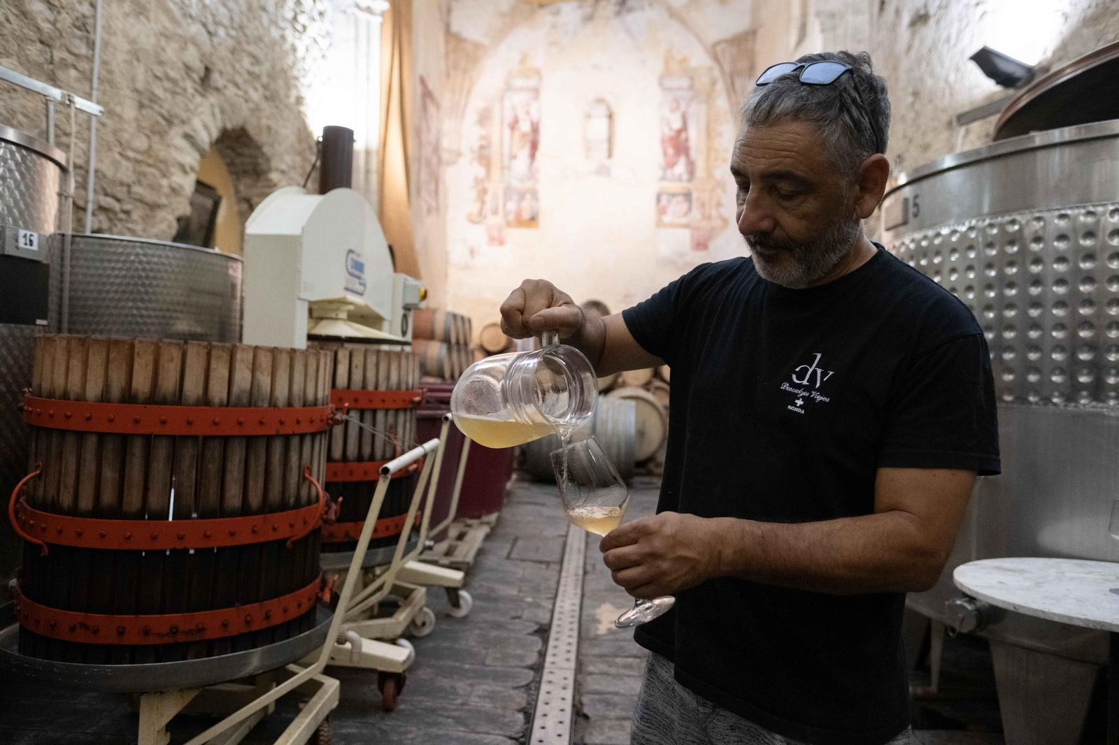 Vendimia nocturna en la Serranía, en imágenes.