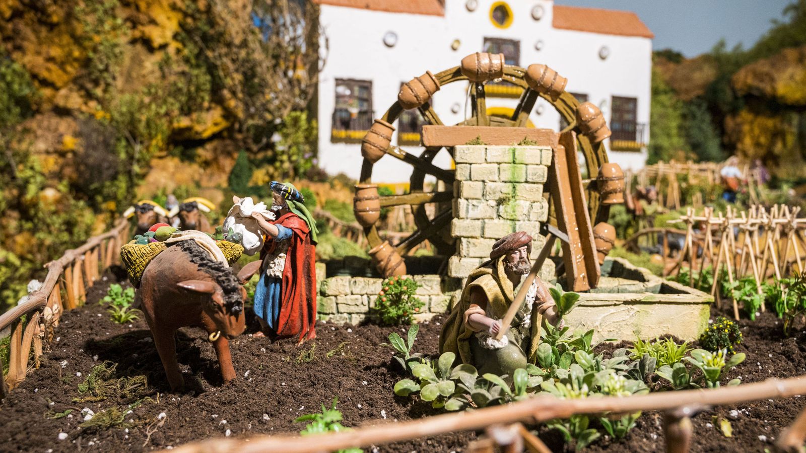 Detalle de la huerta.