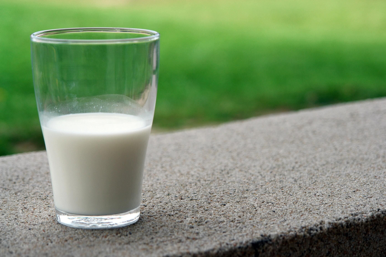 Cada tipo de leche contiene sus propias propiedades y beneficios