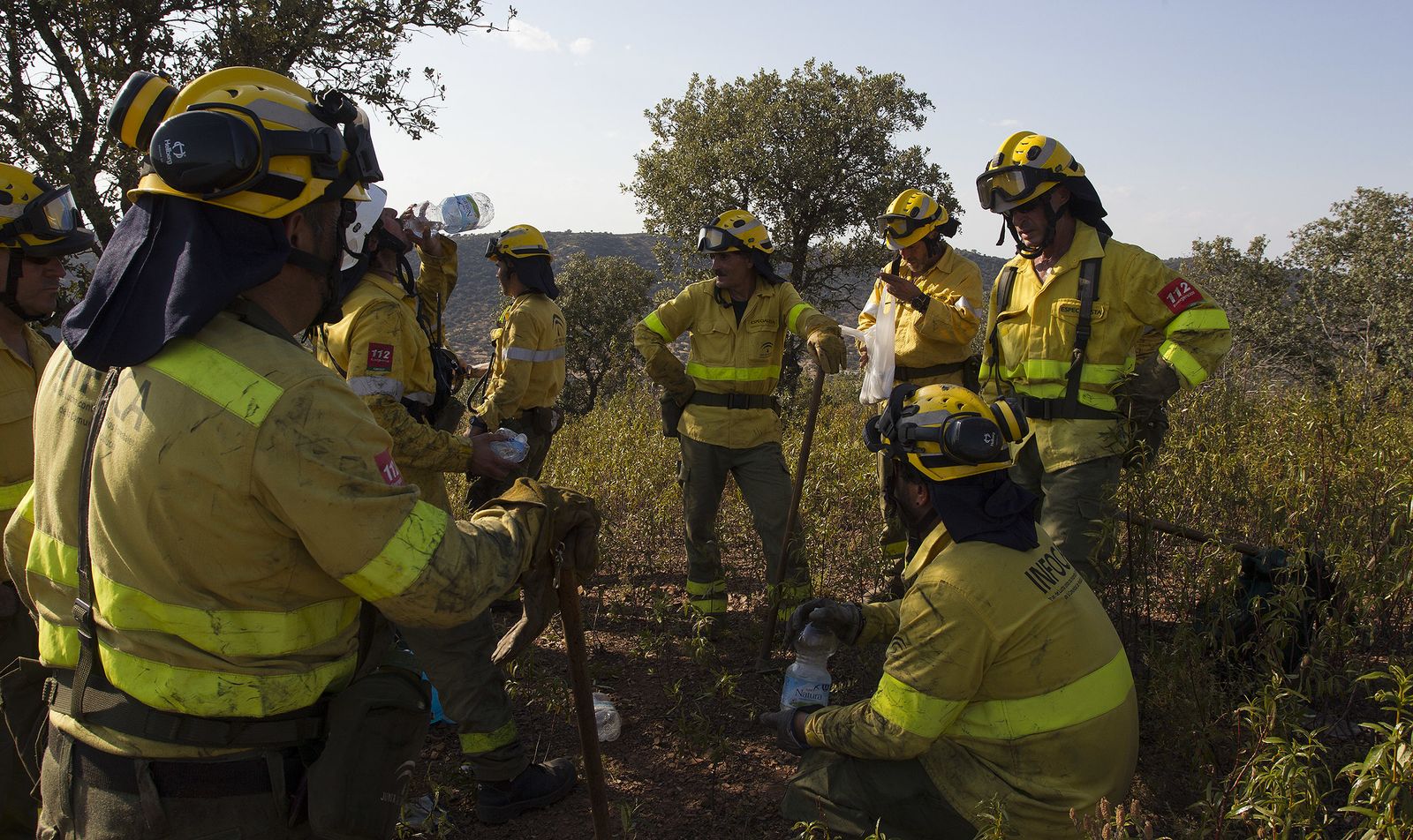 El incendio forestal de El Ronquillo, en imágenes