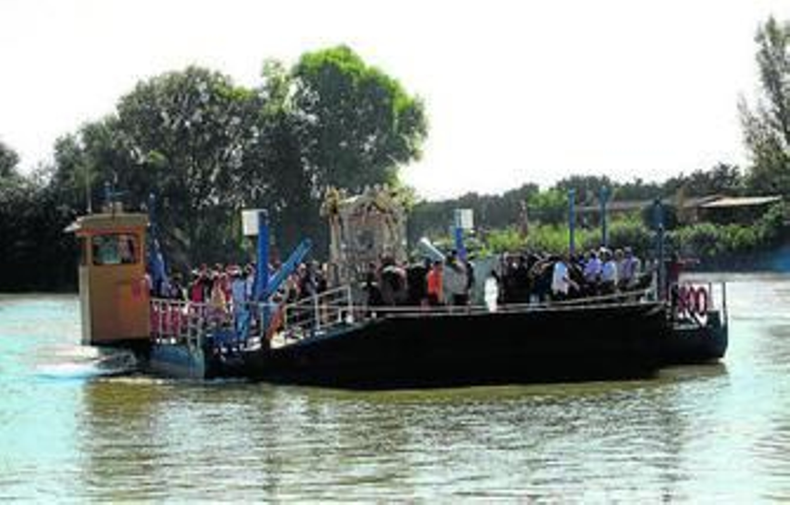 Los jinetes pasan el río Guadalquivir con los caballos para llegar a Coria del Río.