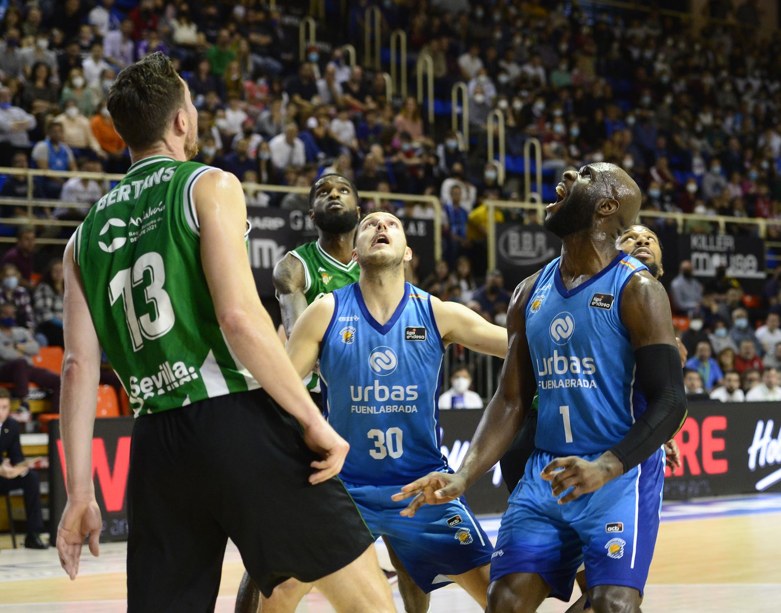 Las imágenes de la fiesta del Coosur Betis