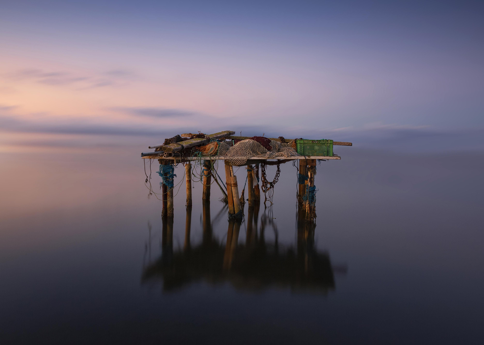 La fotografía ganadora lleva por título ‘The Calm’.