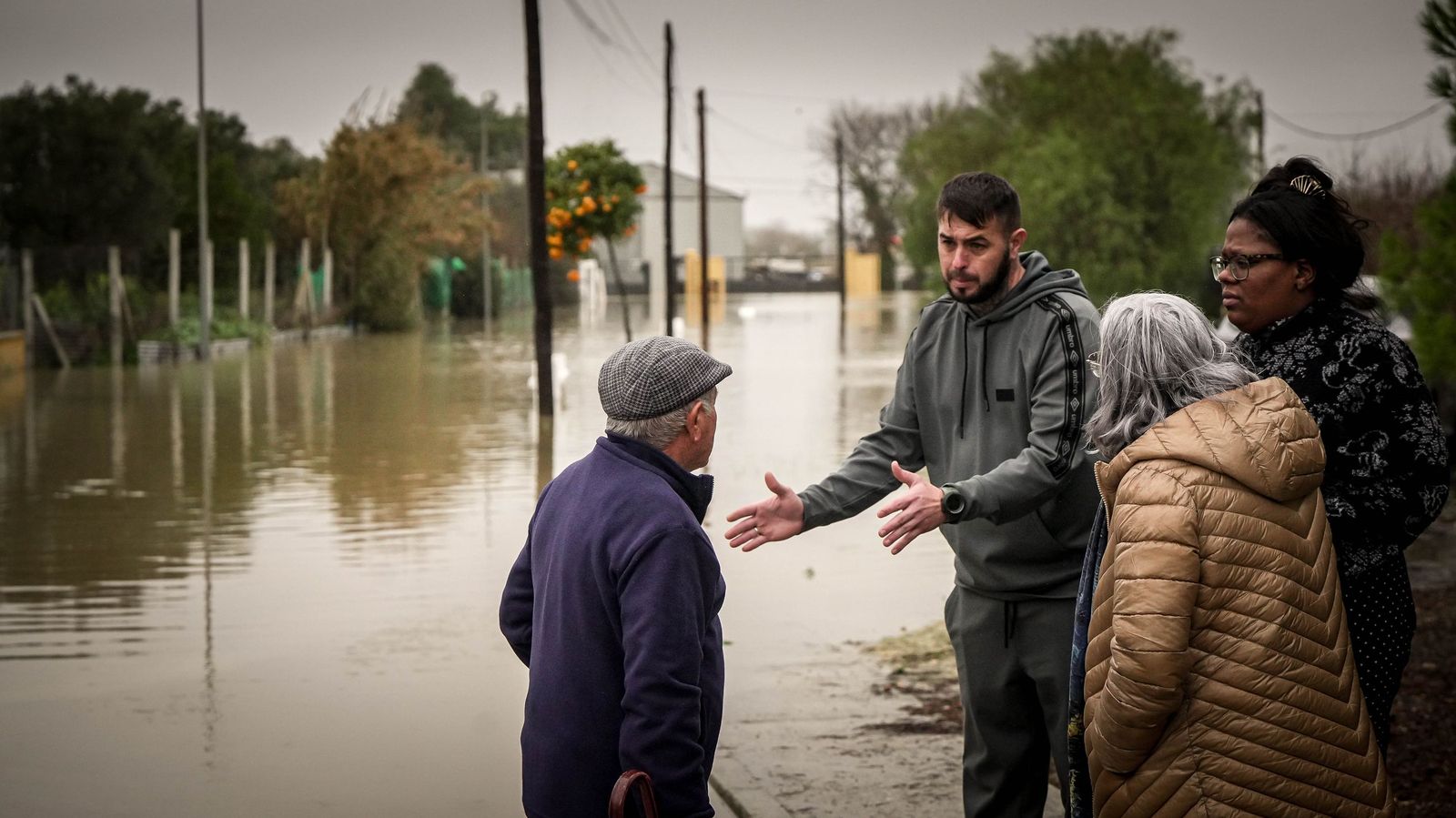 Imágenes de las graves consecuencias de la crecida del rio Guadalete en la zona rural de Jerez
