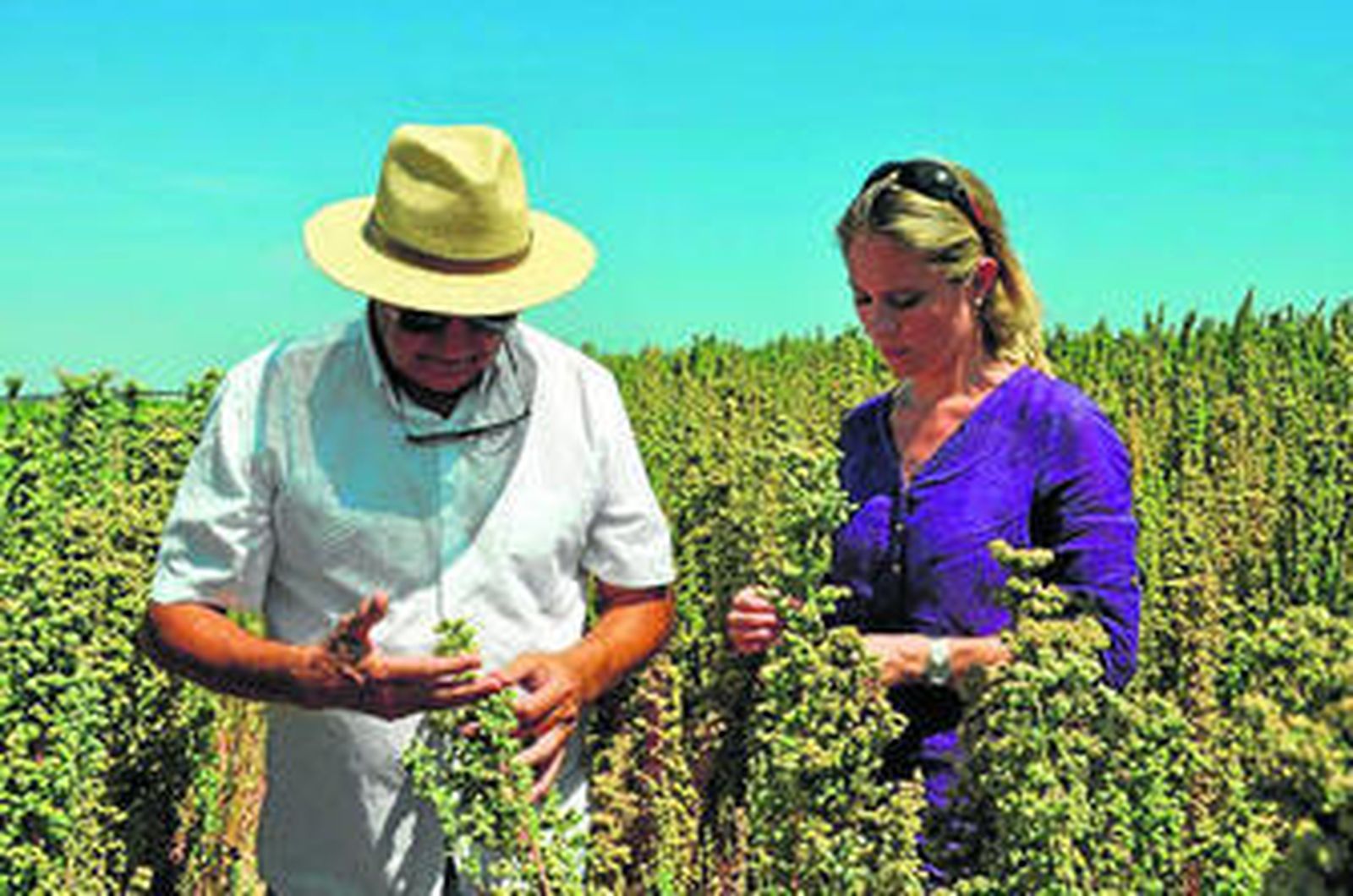 El milagro de Los Andes