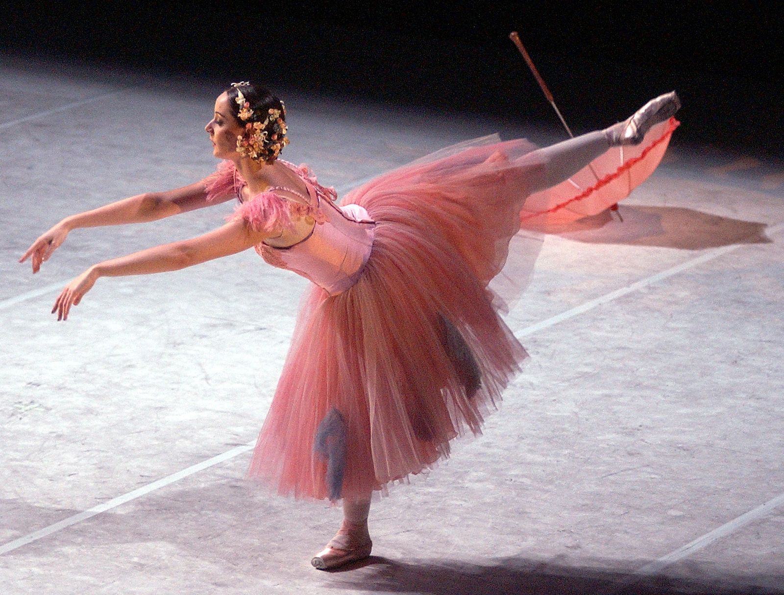 La carrera de danza contempla la española, la clásica, expresión corporal y música aplicada.