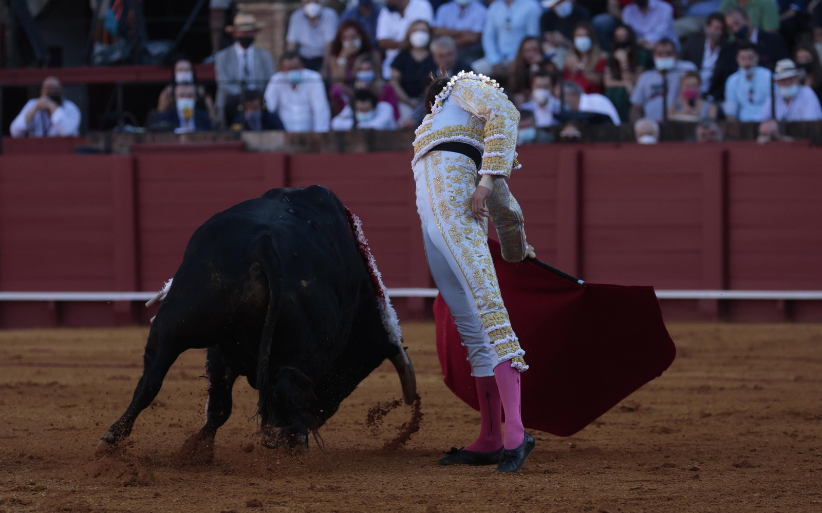 Las imágenes del primer festejo de San Miguel