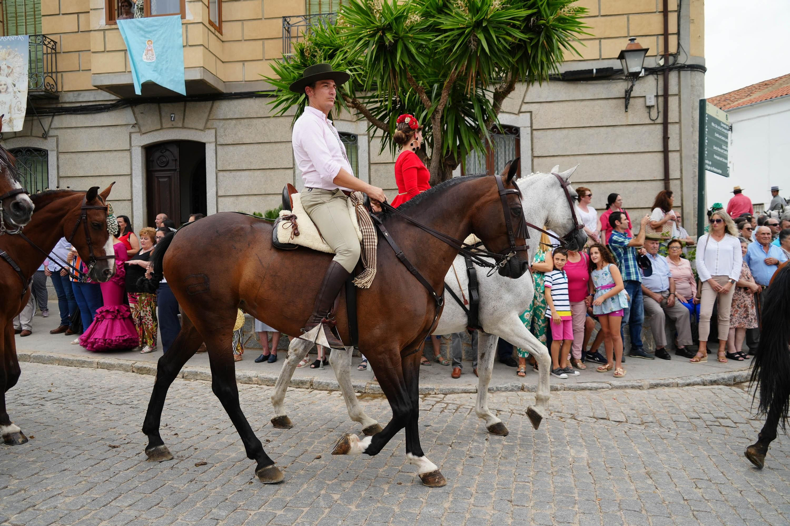 Las mejores imágenes de la Fiesta de los Piostros de Pedroche, la mayor concentración equina de Andalucía
