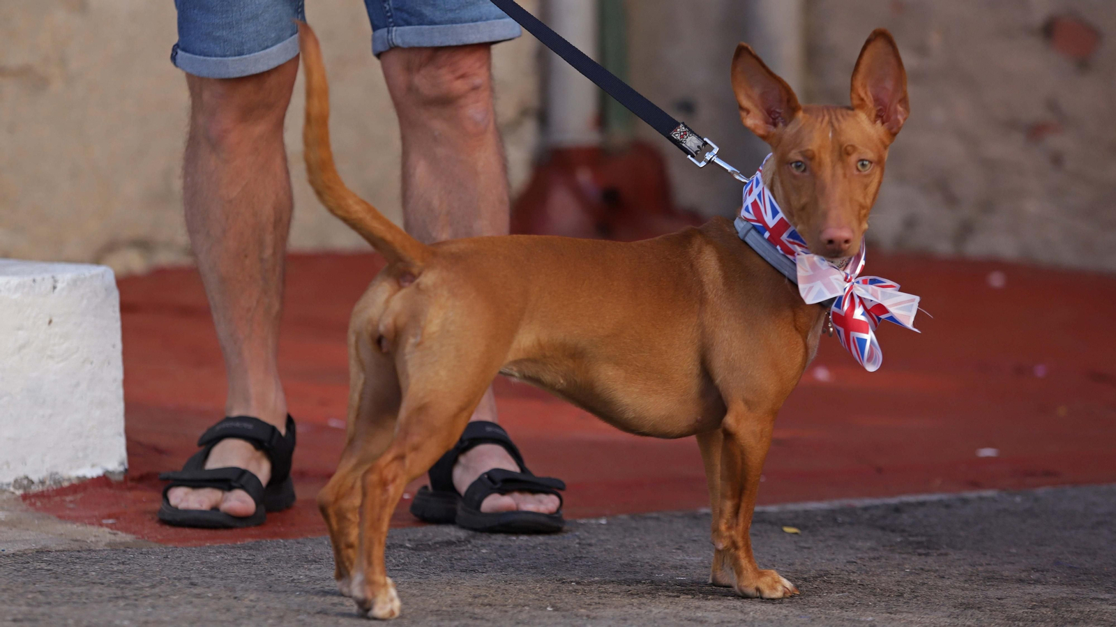 Fotos de la visita de los condes de Wessex a Morish Castle Estate en Gibraltar
