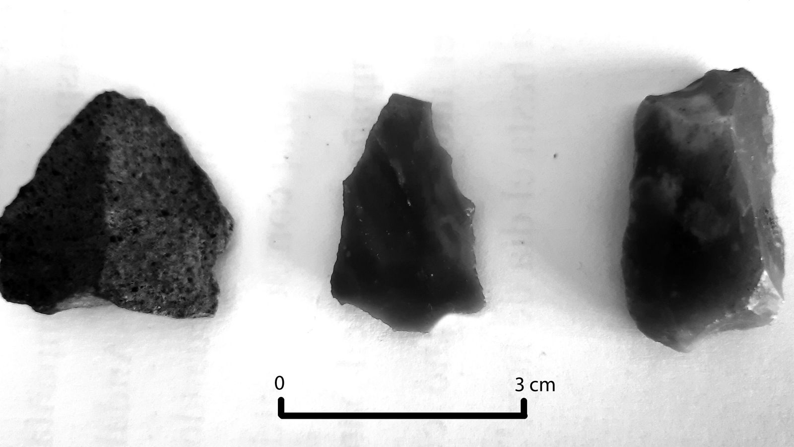 Útiles líticos encontrados en la dehesa de la Almoraima en 1979.