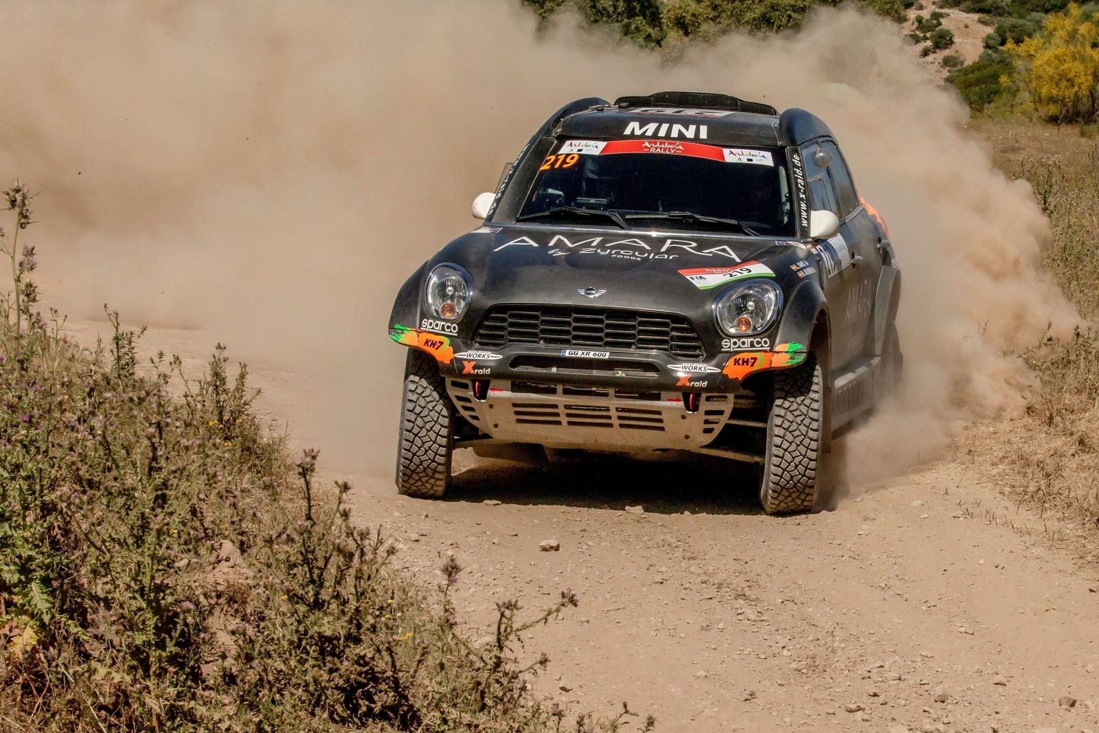 Las imágenes del final del Rally de Andalucía