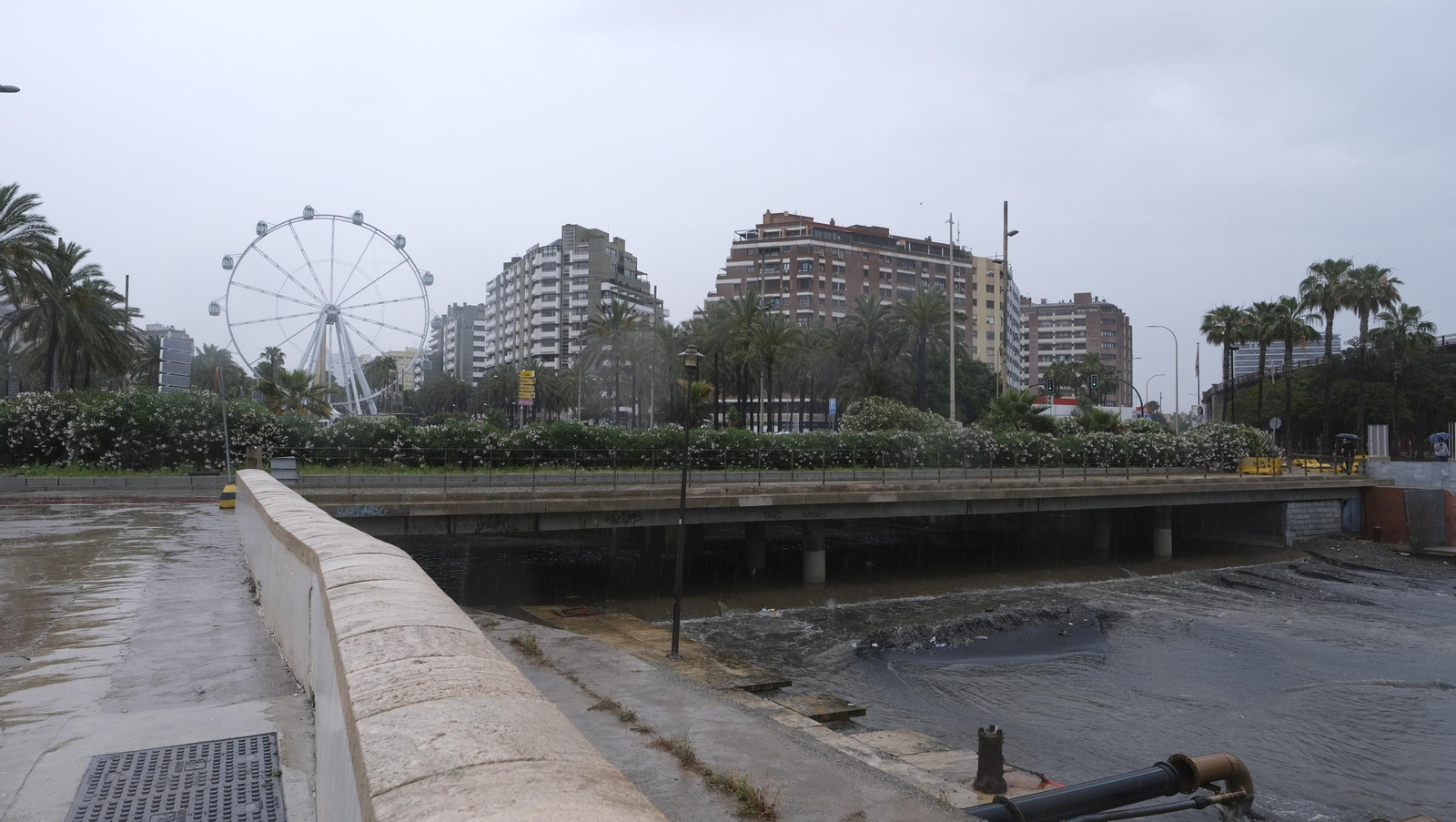 Los almerienses expresan su alegría por la lluvia