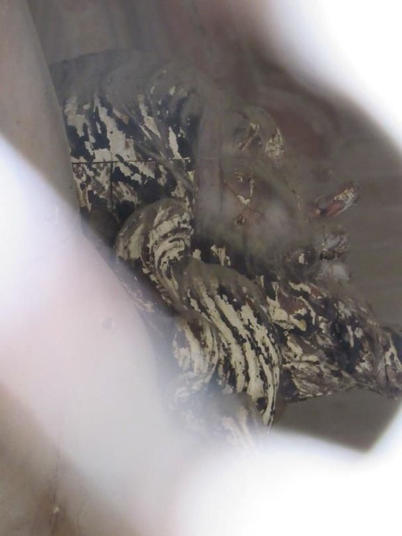 Detalle de la copia del Cristo de la Expiración