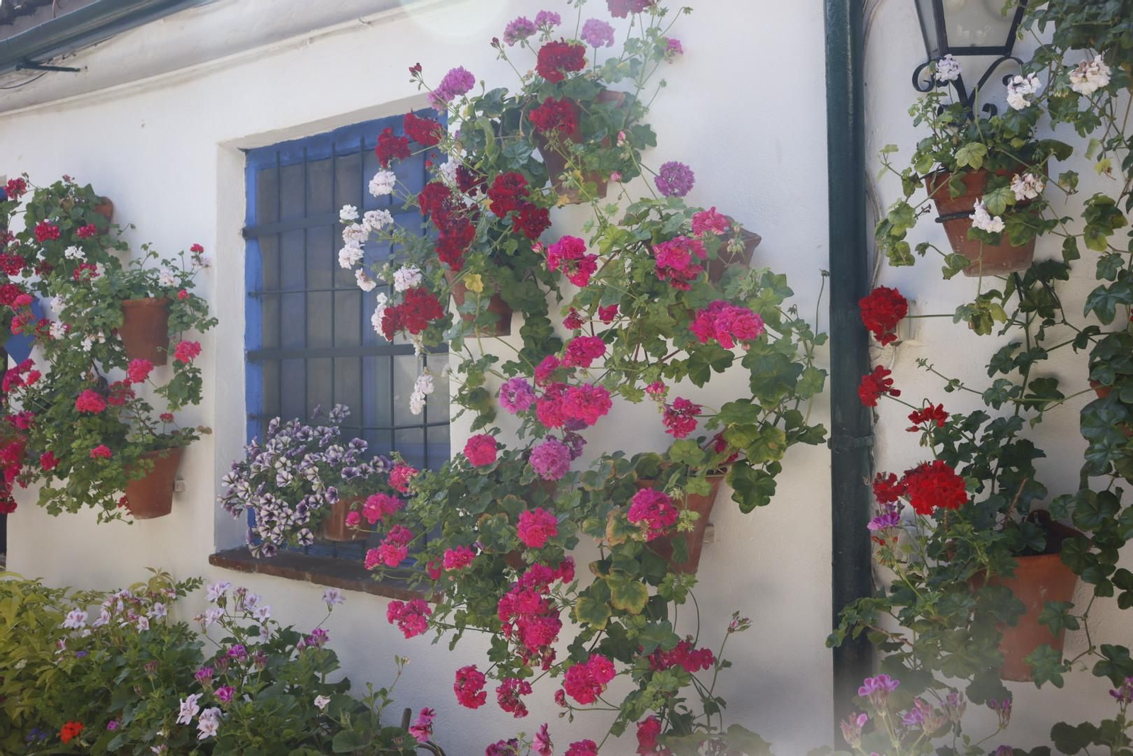 Patio de Marroquíes, 6