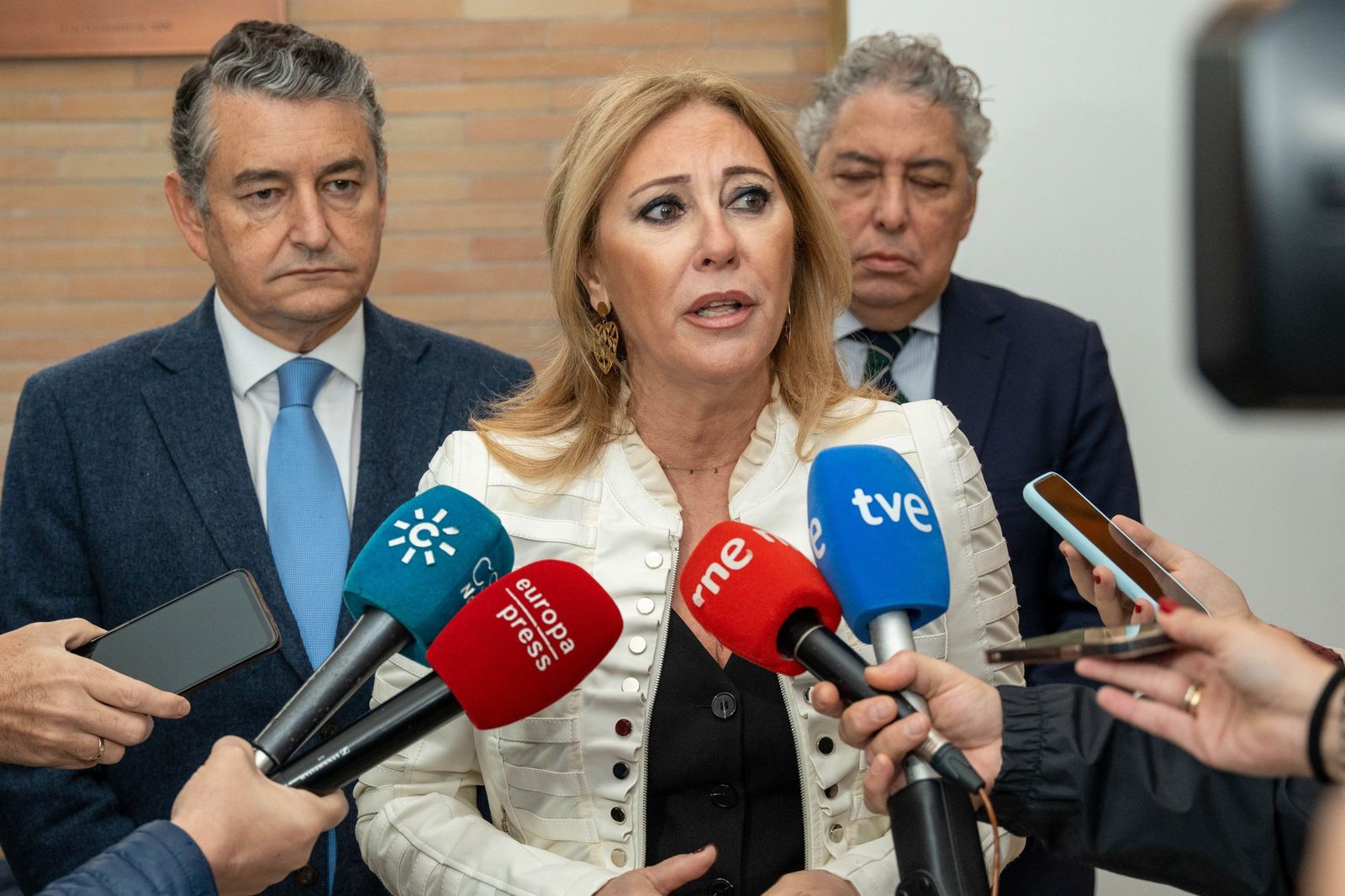 La consejera Carolina España.