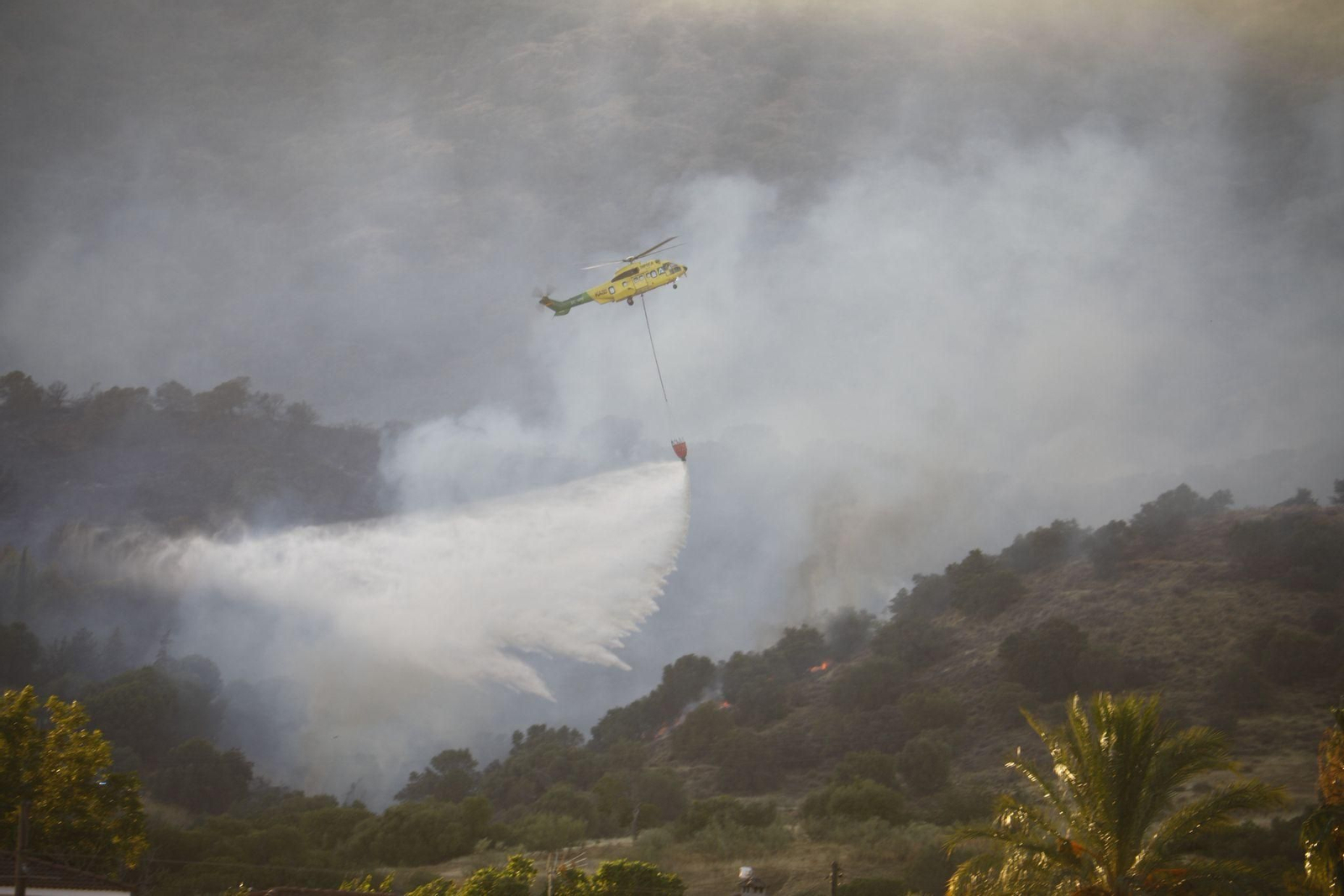 Las imágenes del incendio en el paraje de la Albaida en Córdoba