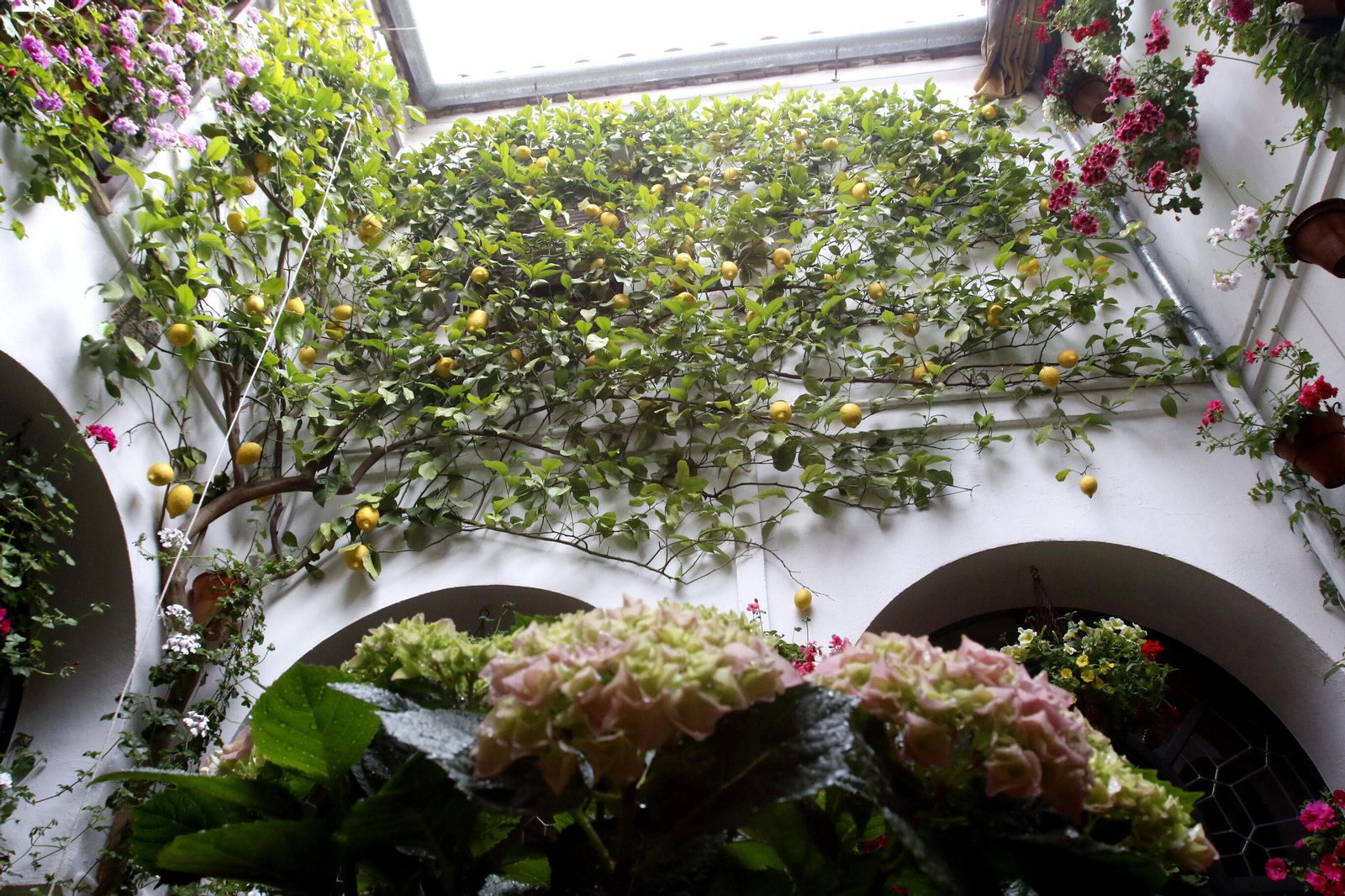 RUTA ALCÁZAR VIEJO: SAN BASILIO 20