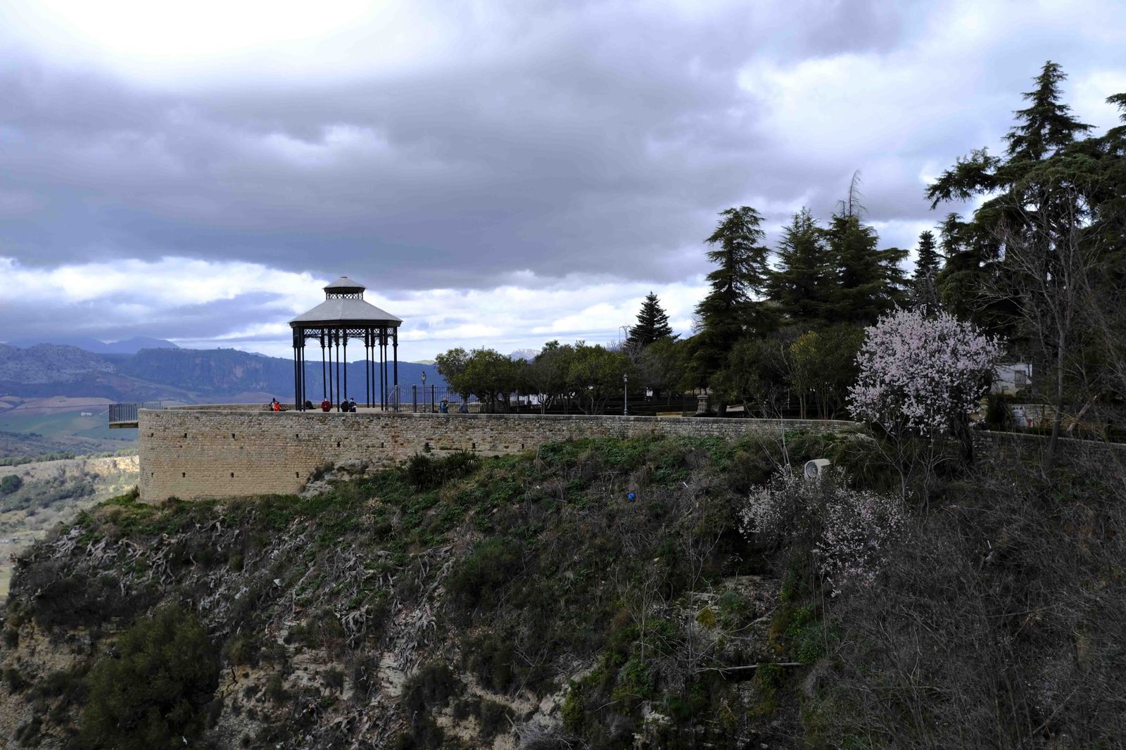 Así lucen los almendros del interior de Málaga en plena floración