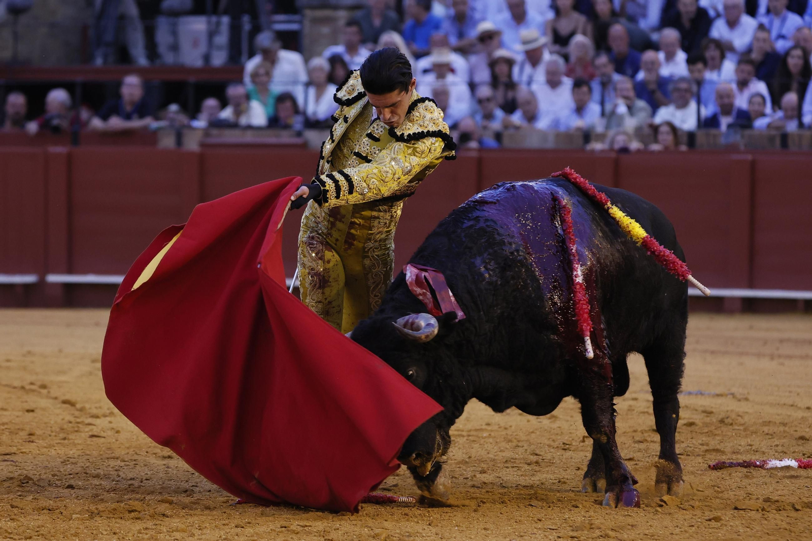 Las imágenes del festejo