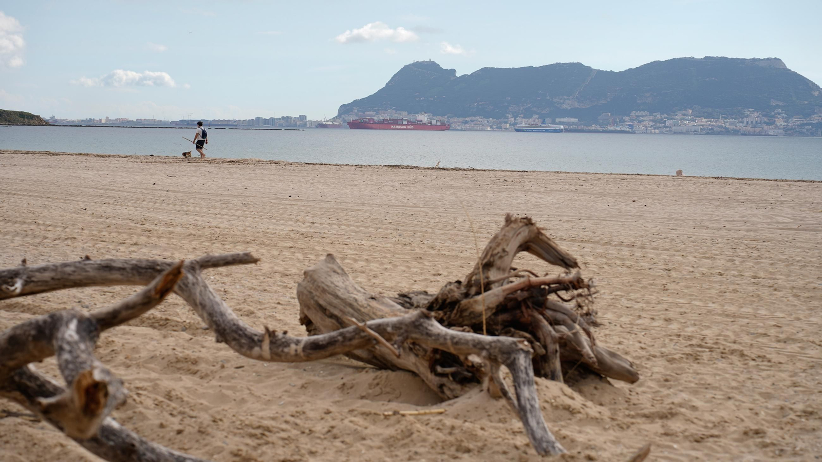 Fotos de la playa de Getares llena de cañas y desechos