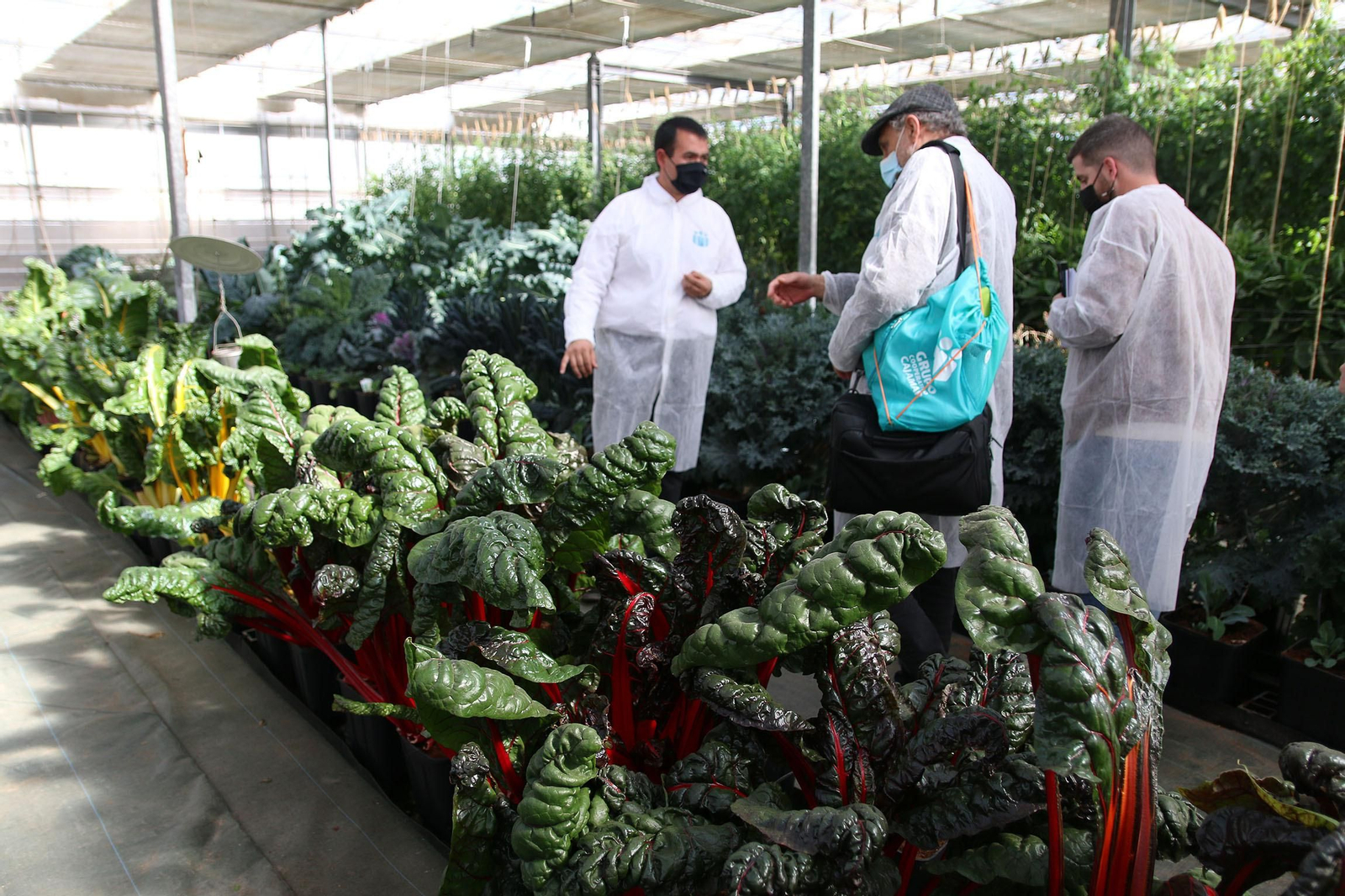Fotogalería de la presentación de Plataforma Tierra, de Cajamar e IBM