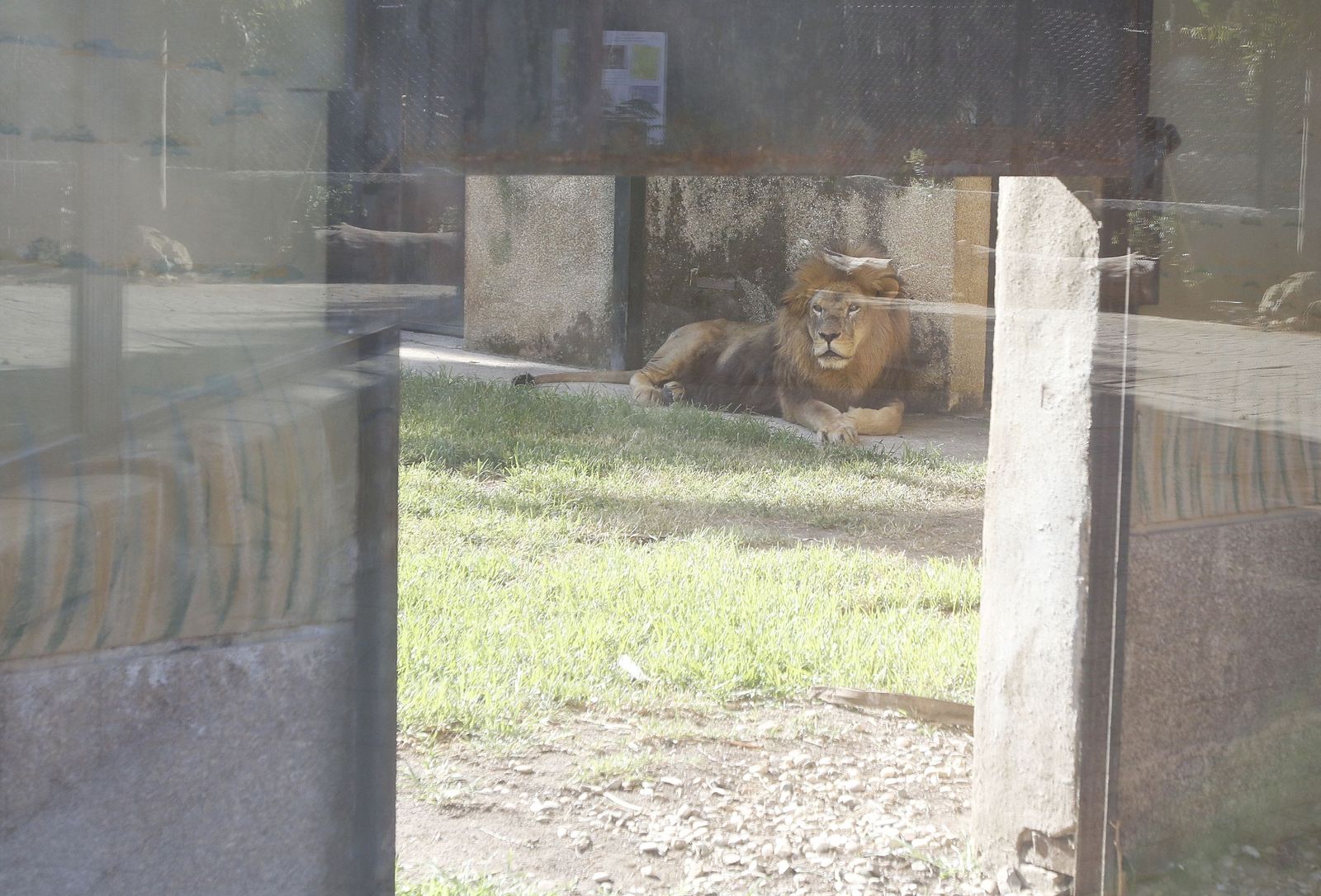 Las fotografías de la reapertura del Zoo de Córdoba tras el coronavirus