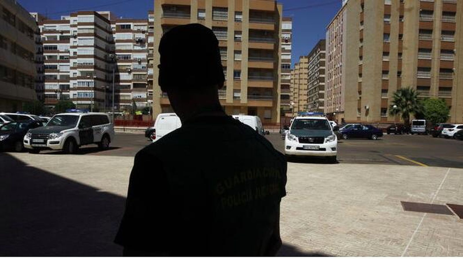 Guardia Civil investiga al autor de los disparos a un gato en Almerimar