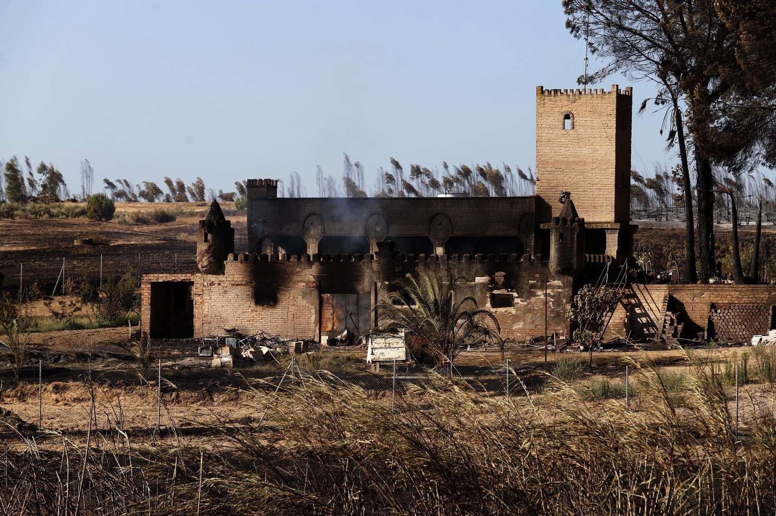 Imágenes de las zonas afectadas por los incendios de Almonte y Bonares