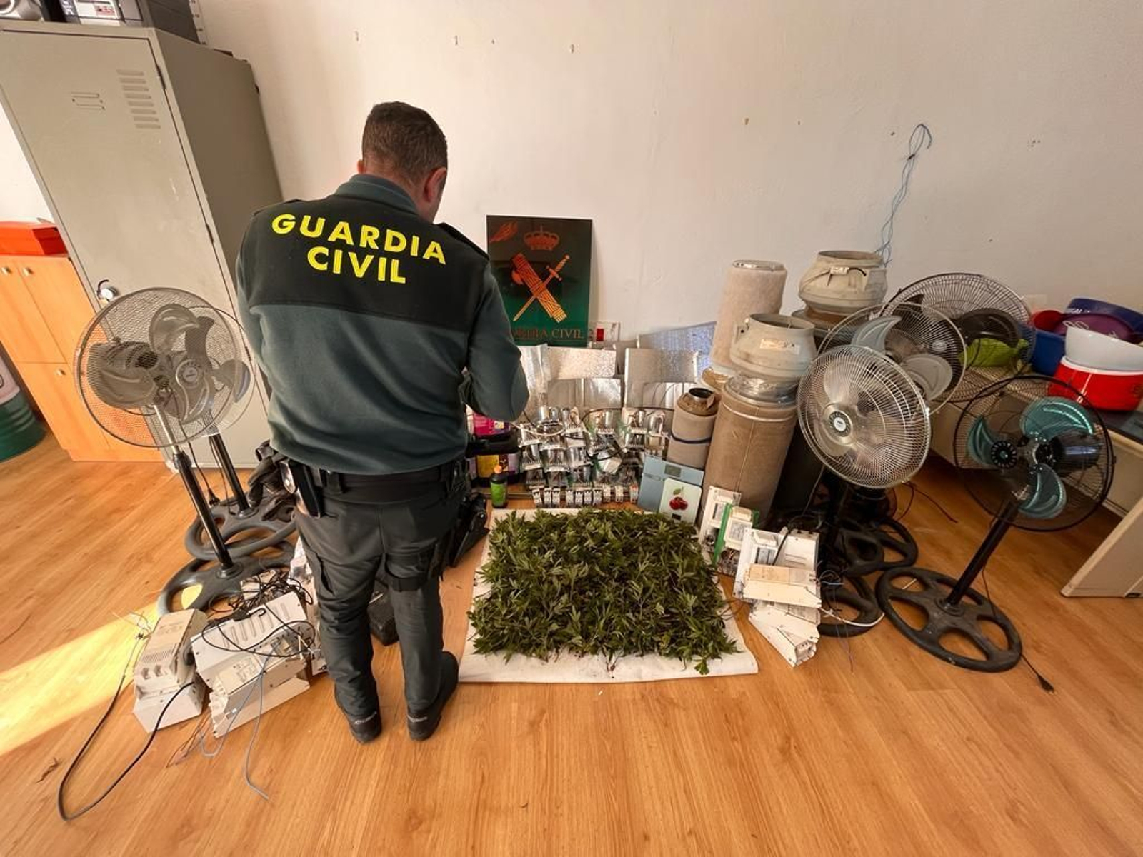 Operación contra el tráfico de marihuana en Baena.