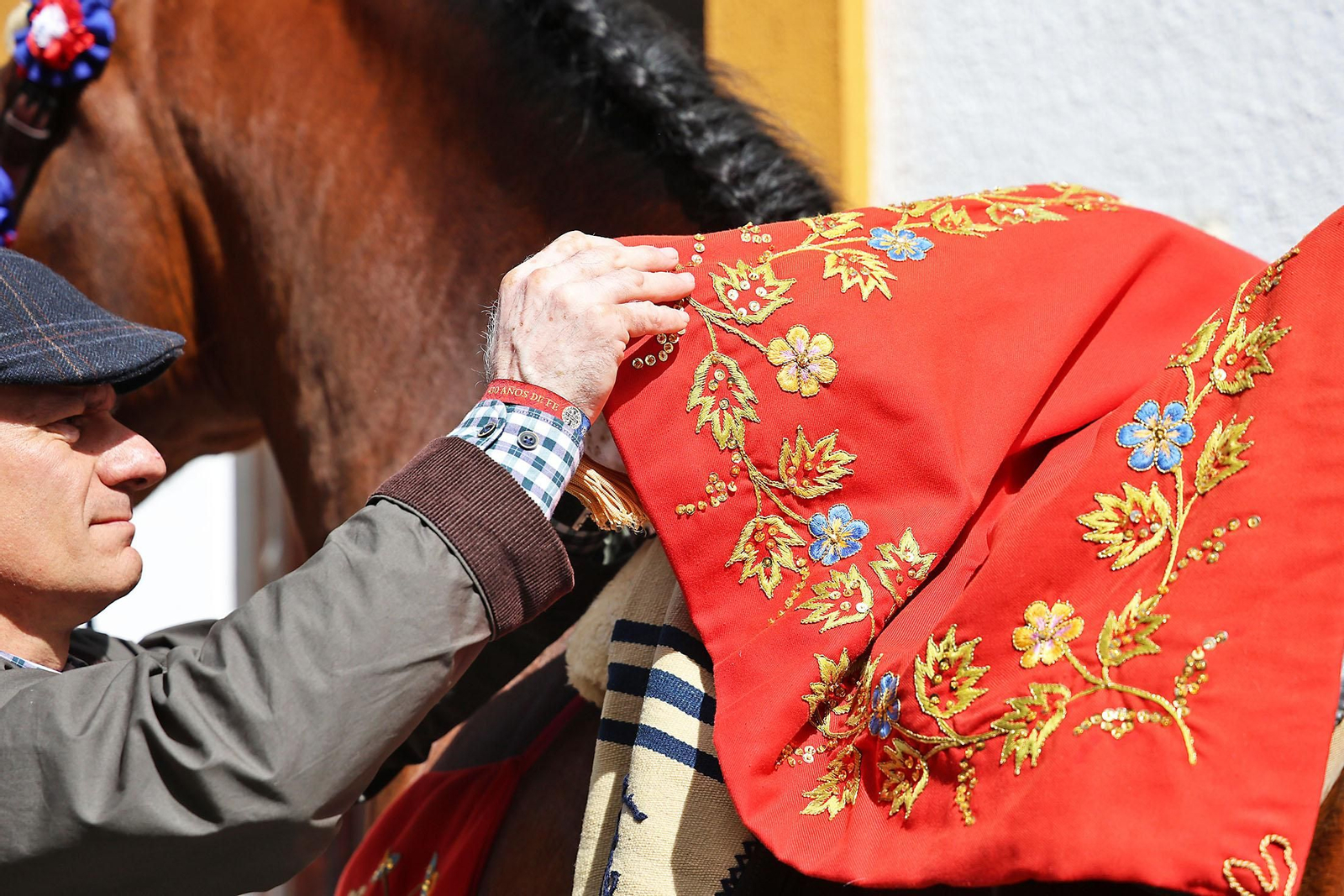 Las imágenes de la romería de San Benito Abad en el Cerro del Andévalo de Huelva