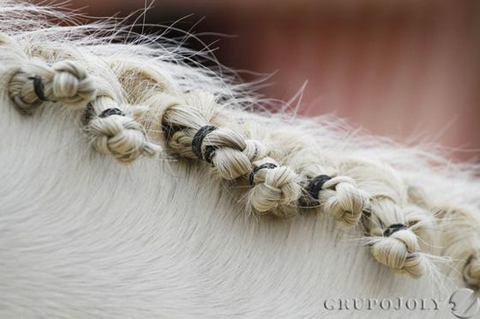 Foto: Victoria Hidalgo