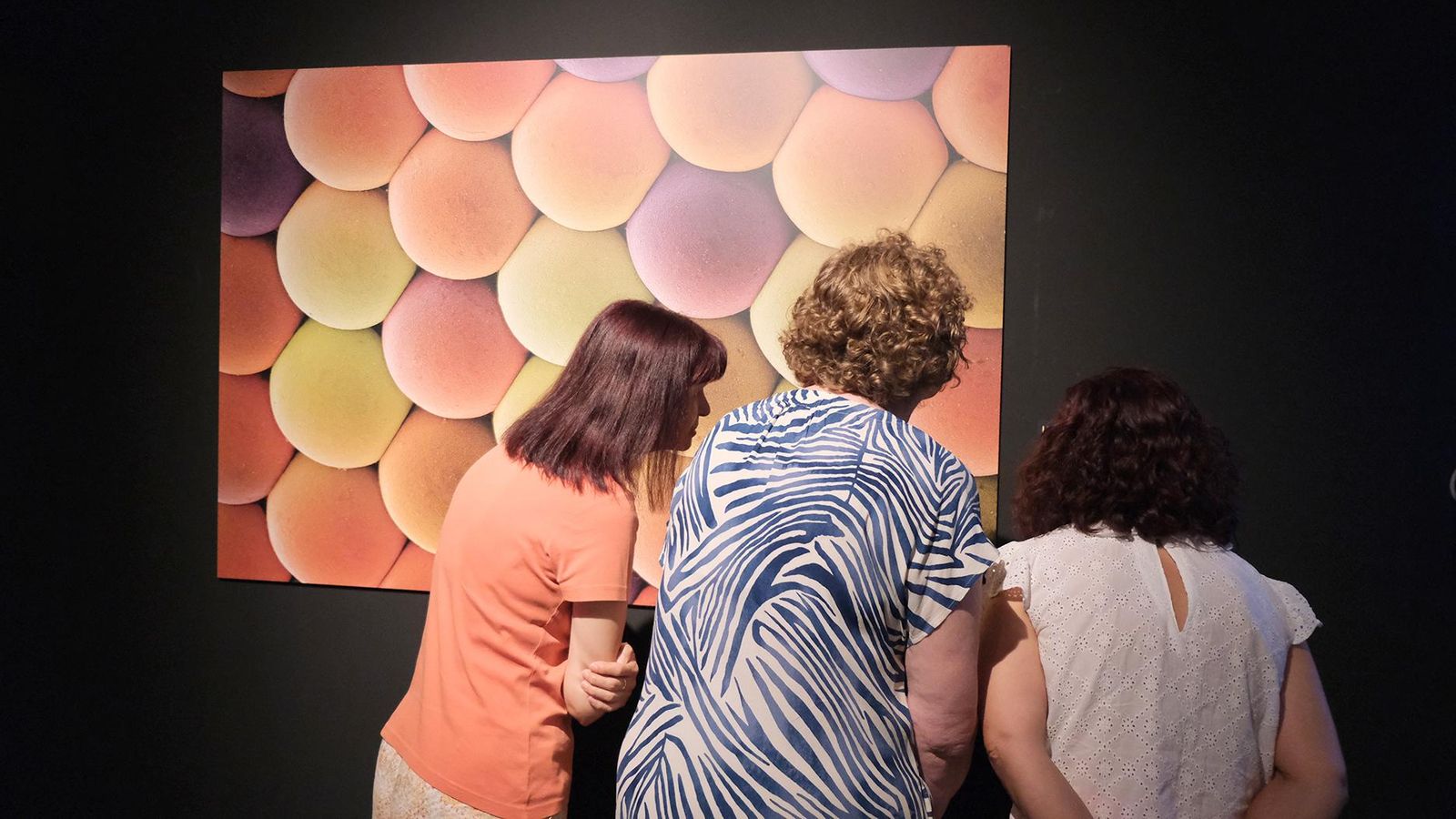 El Parque de las Ciencias arroja luz sobre un mundo 'InVISIBLE'