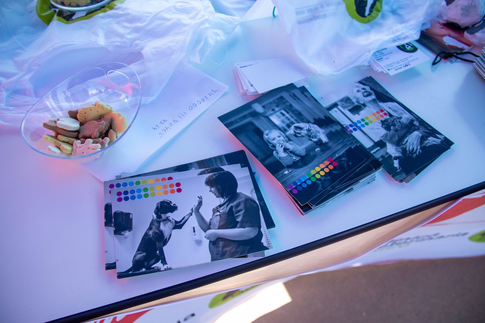 ¿Has estado en el primer desfile solidario de mascotas celebrado en Motril?