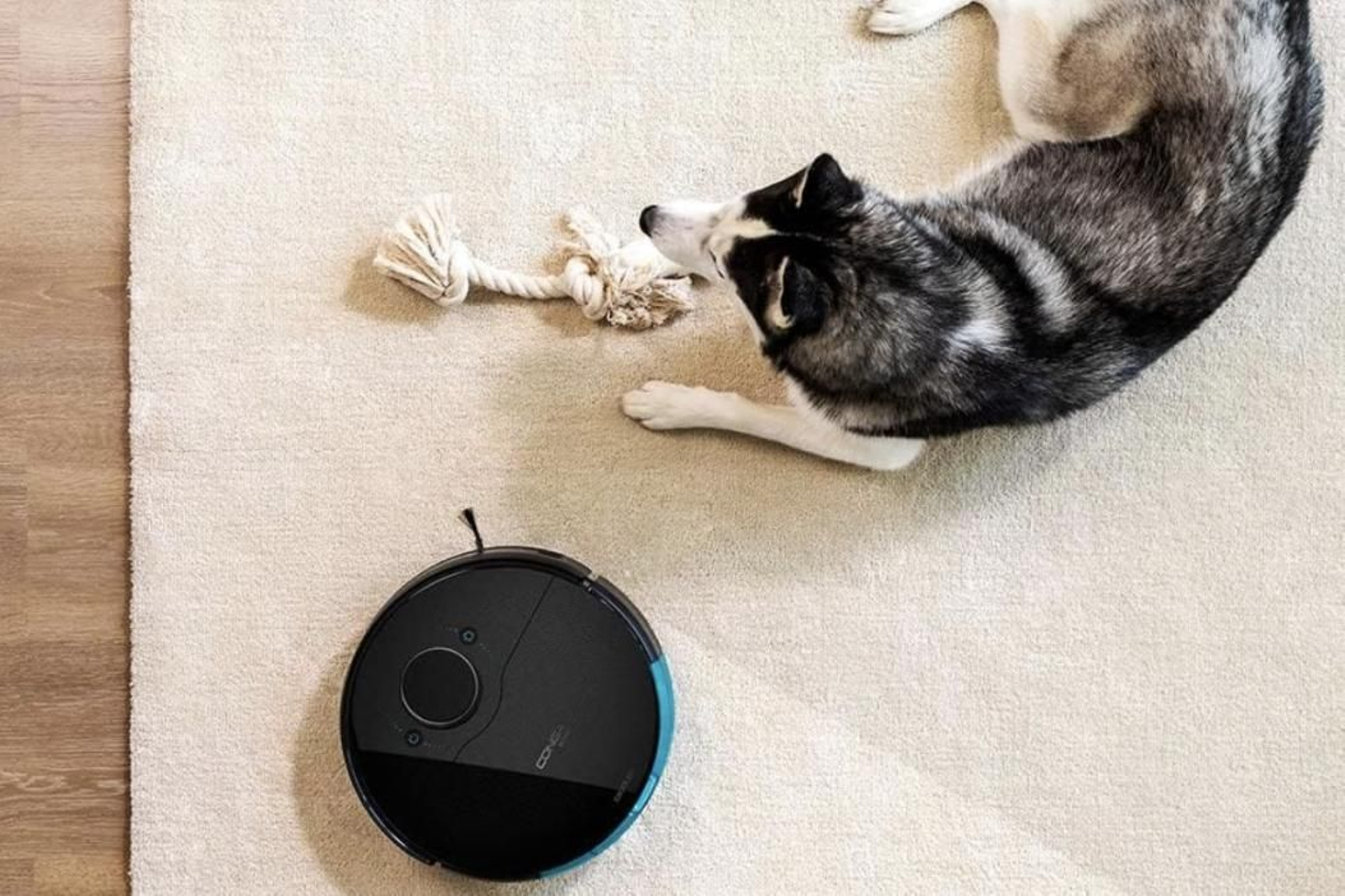 Transforma tu hogar con este potente robot aspirador y friegasuelos de Cecotec ¡con un 23% de descuento!