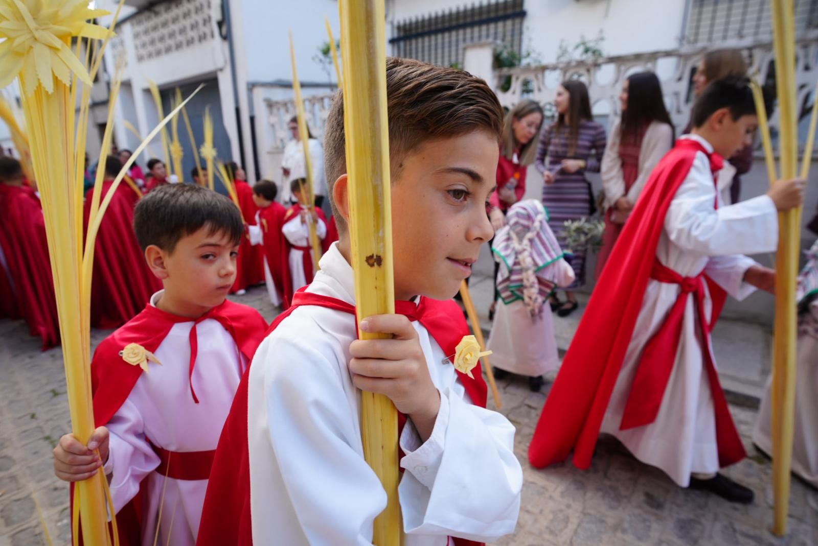 La procesión de la Borriquita en Pozoblanco