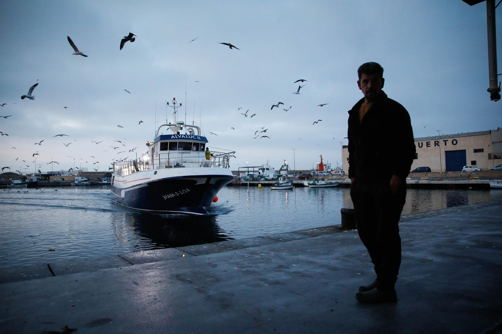 Te contamos en imágenes como ha sido la descarga de las traiñas en la lonja de Almería