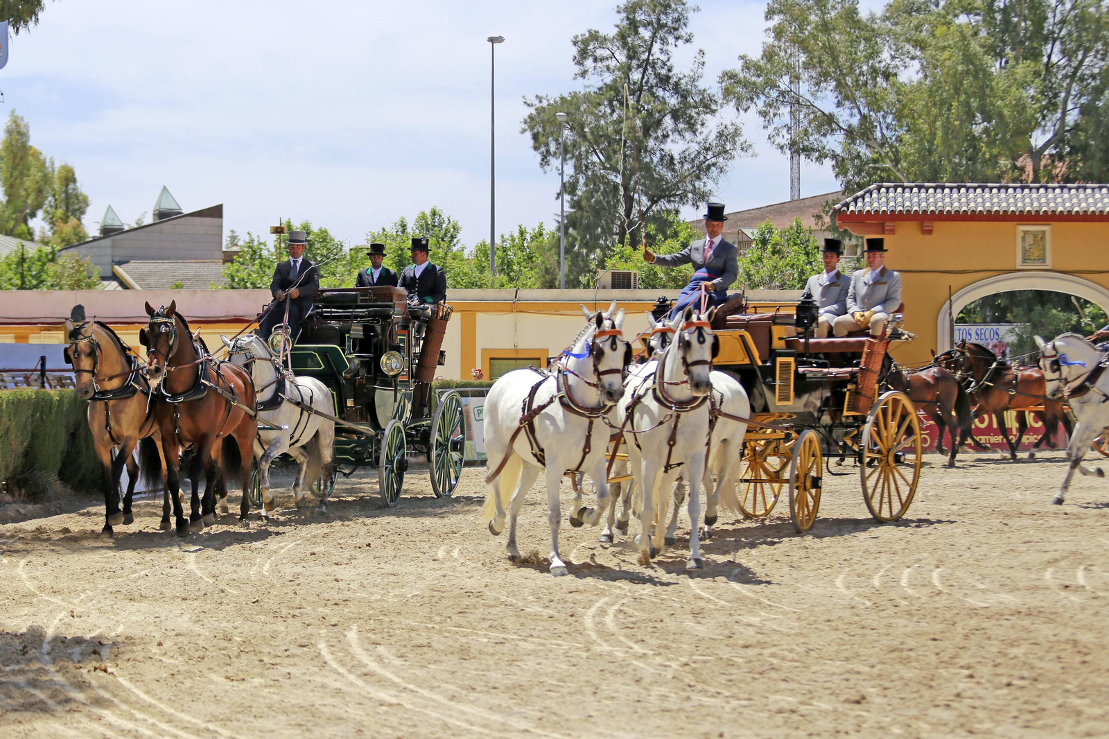 Trofeos de los concursos de Enganches y Morfológicos en la Feria de Jerez