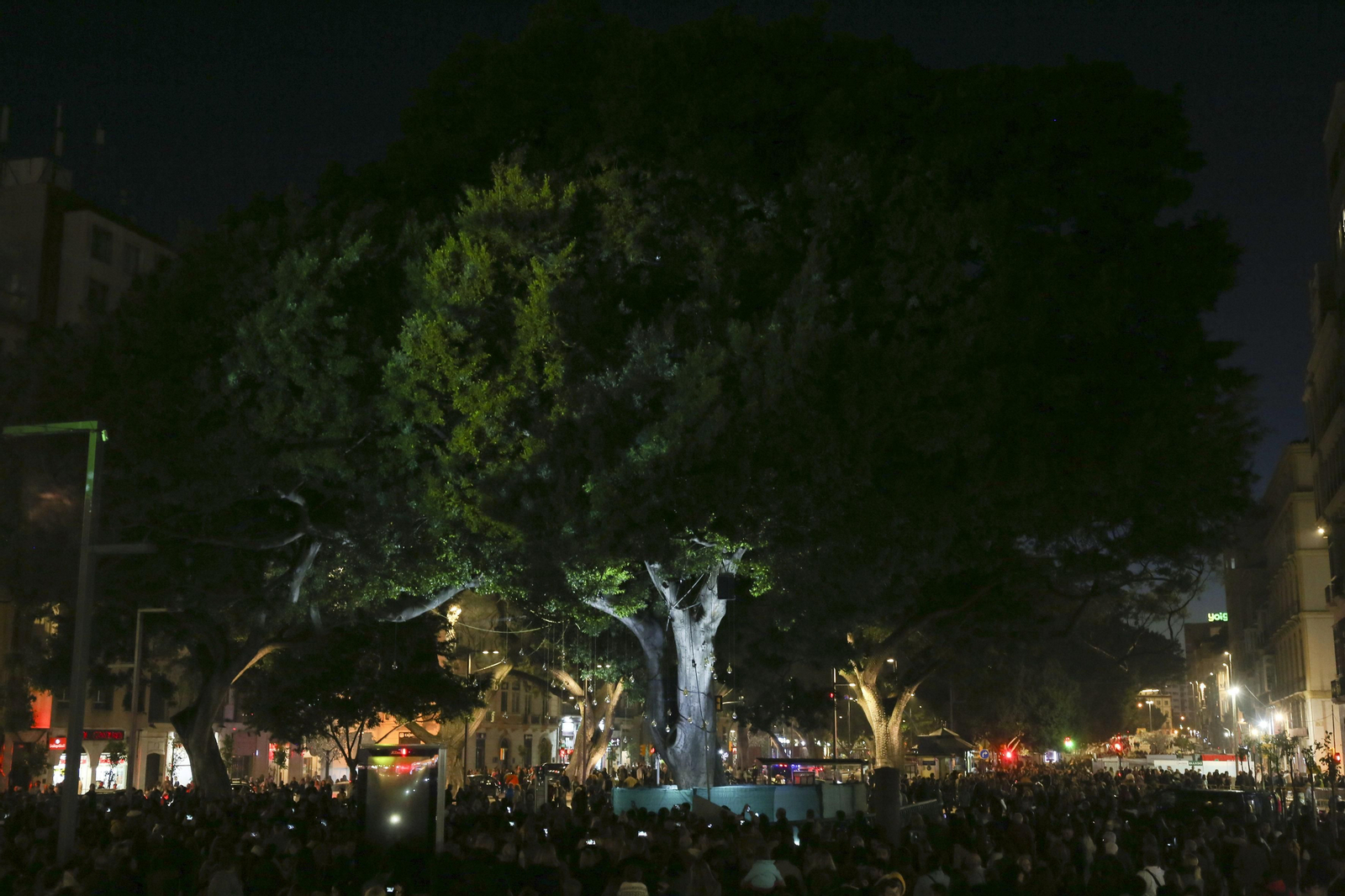 Las fotos de las luces de Navidad en Málaga Las fotos de las luces de Navidad en Málaga