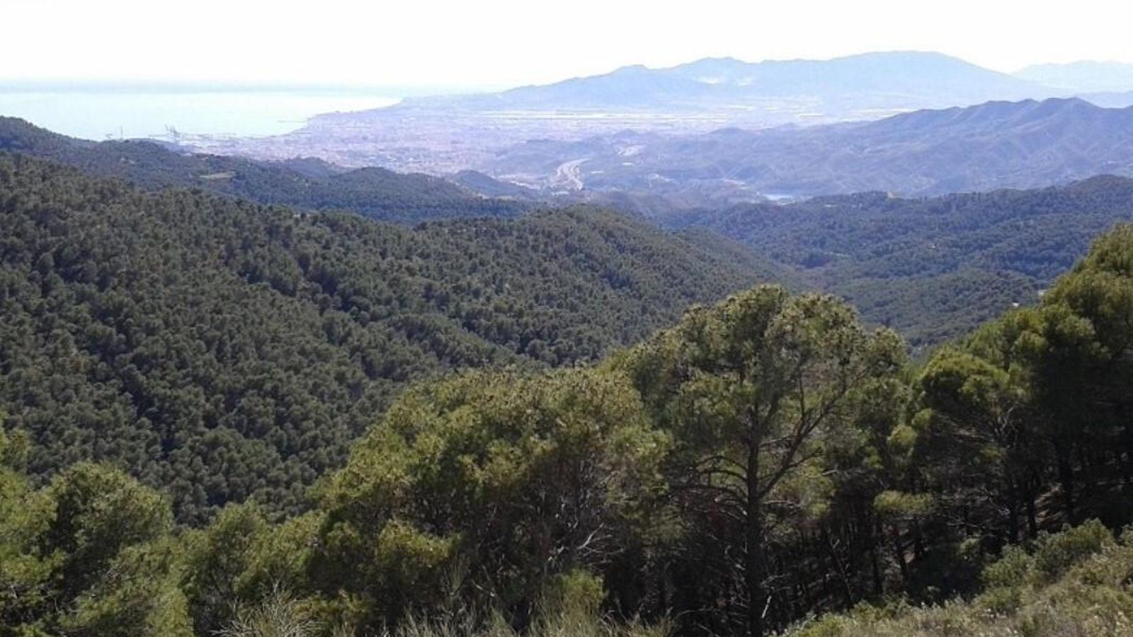 Los Montes de Málaga están mucho más cerca de lo que recordamos. Los Montes de Málaga están mucho más cerca de lo que recordamos.