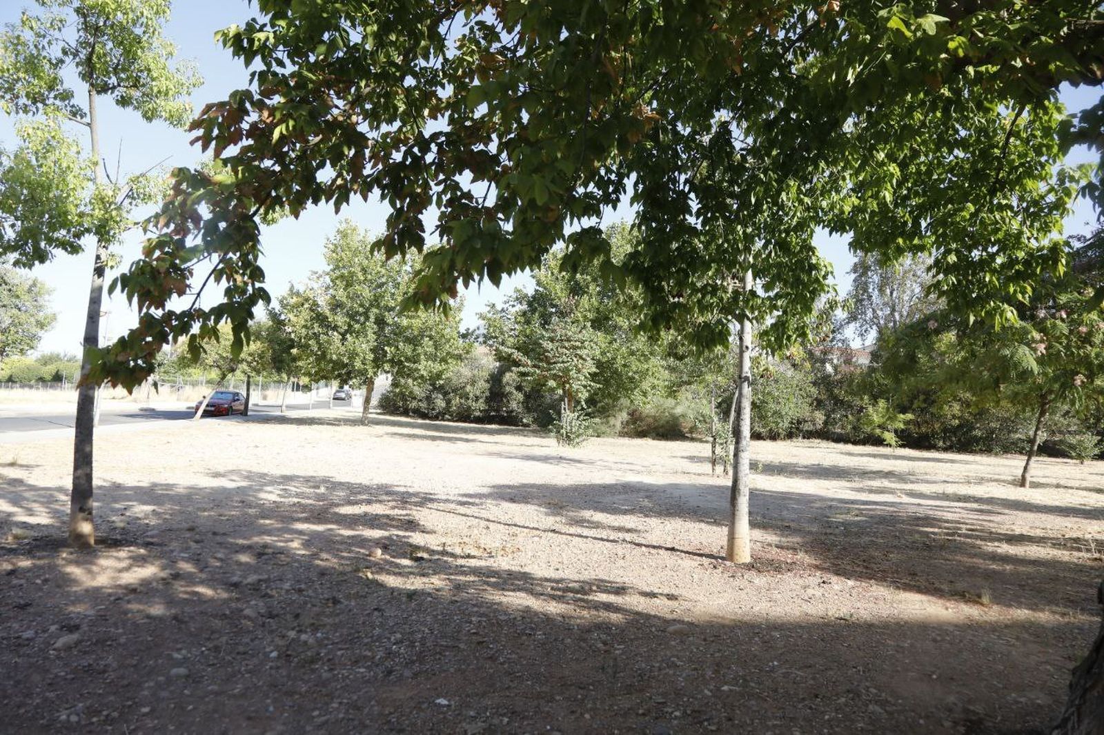 Una de las zonas verdes en las que Infraestructuras ha actuado.