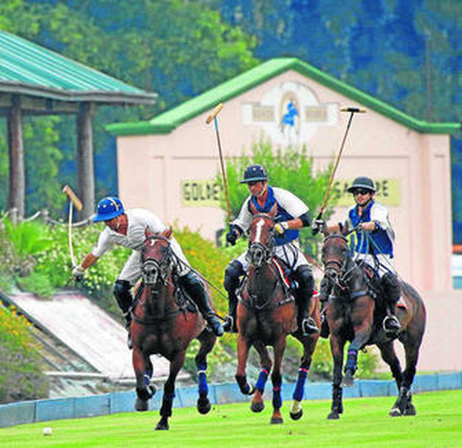 Duelo entre Golden Goose y y Bayswater Sapphire, ayer.