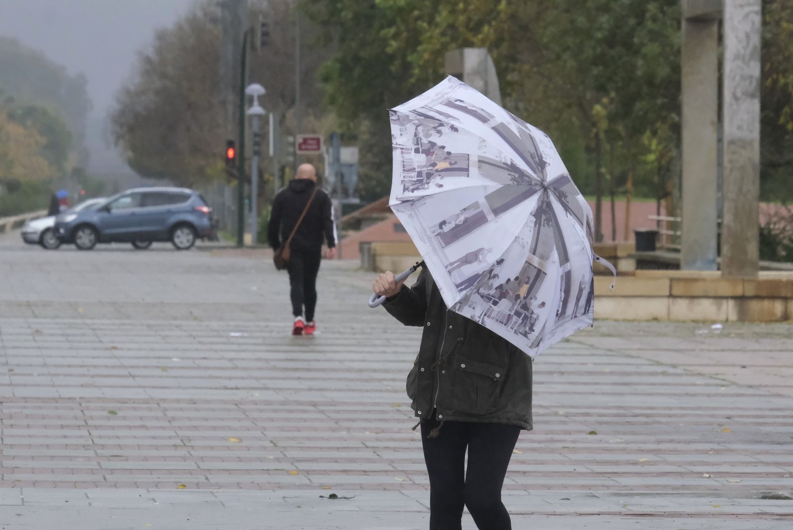 El paso de la borrasca Efraín por Córdoba, en imágenes