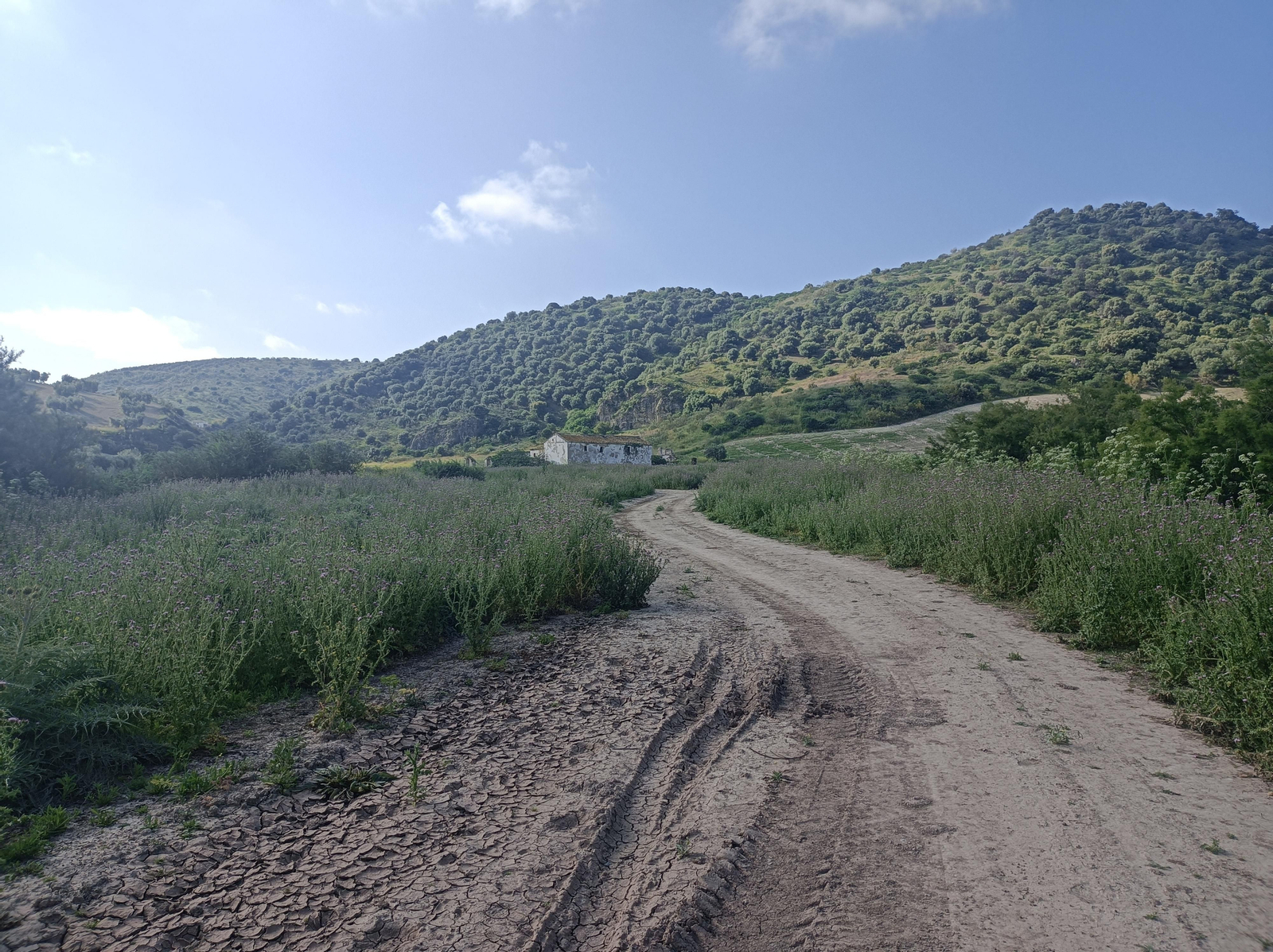 Las imágenes de la ruta alrededor del Castillo de Luna