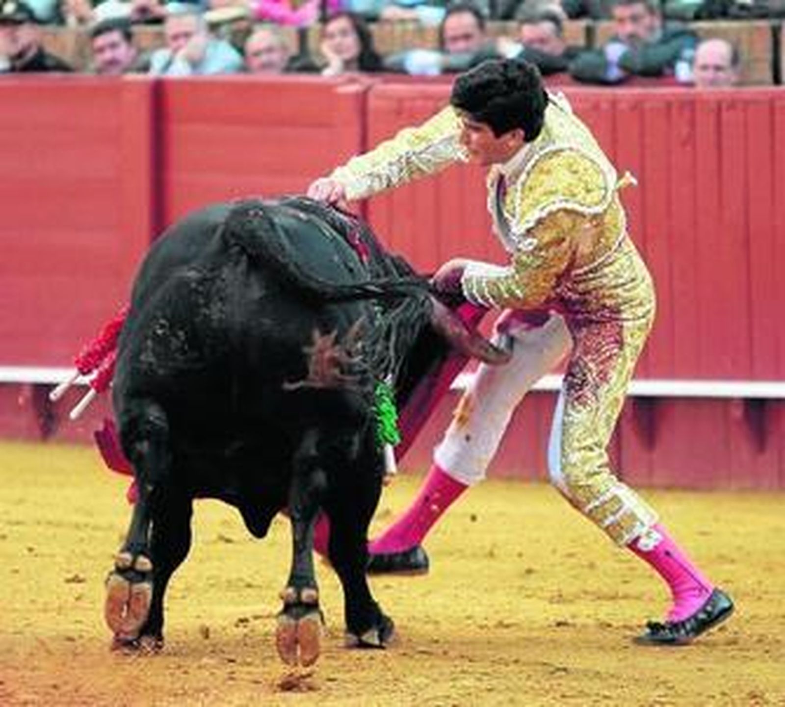 Momento del pitonazo que le propina el primer toro (bis) al toricantano Alberto López Simón, en el muslo derecho.