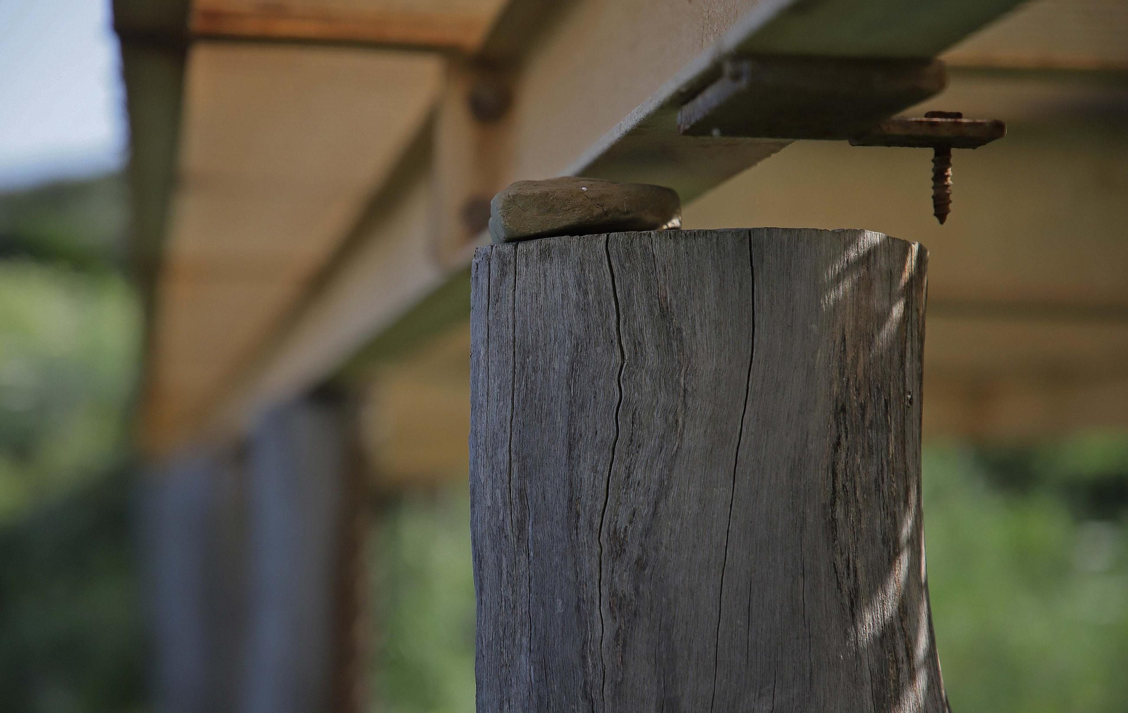 Fotos del estado de abandono del Parque del Centenario de Algeciras