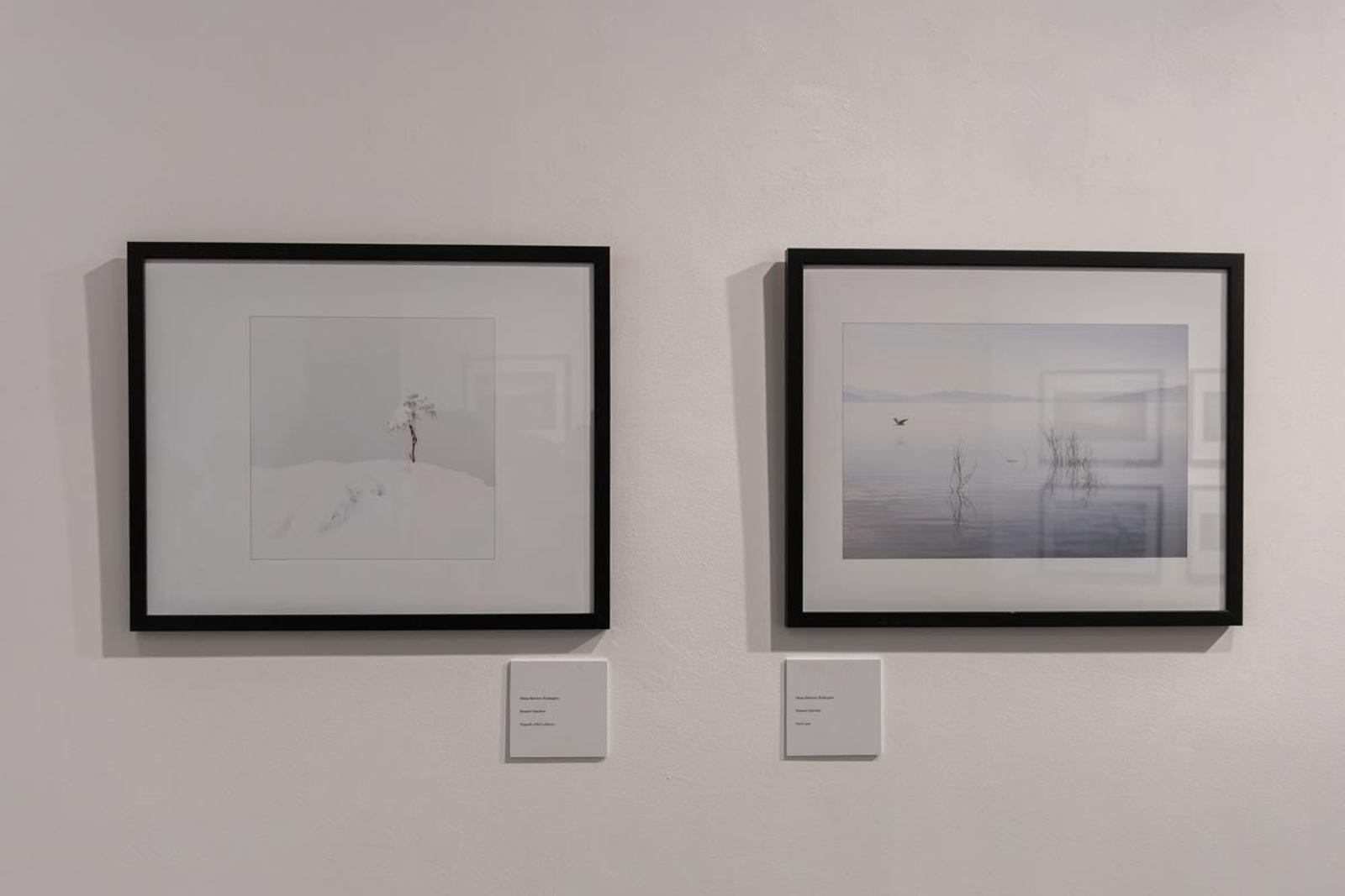 Exposición La Tierra, corazón de la vida, en imágenes