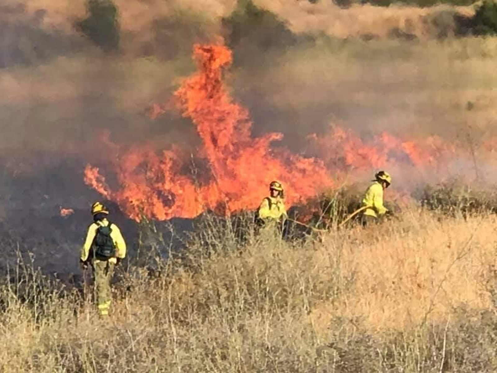 Actuación del efectivos del Infoca en Benahavis.