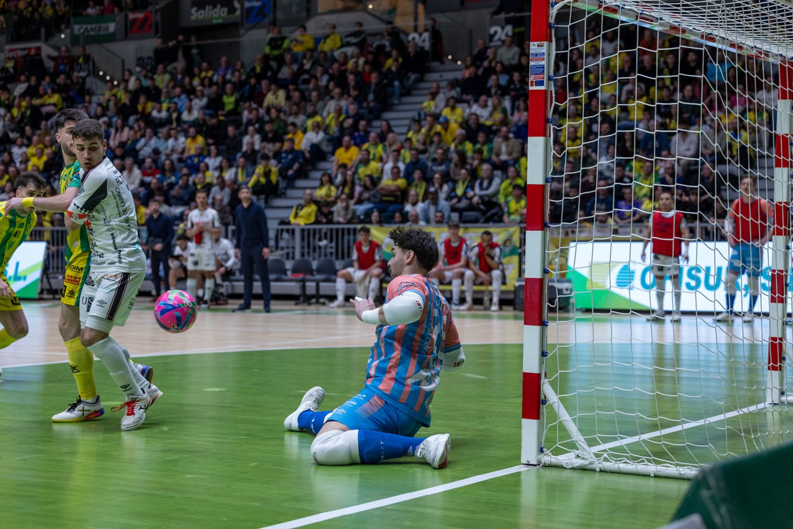 Las mejores imágenes de las tablas entre Jaén Paraíso Interior FS y Noia Portus Apostoli