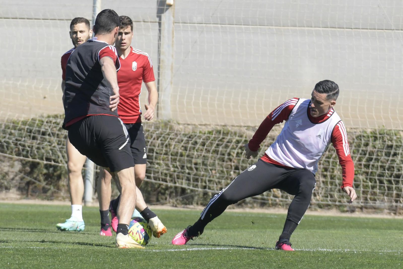 Las imágenes de la vuelta del Granada a los entrenamientos