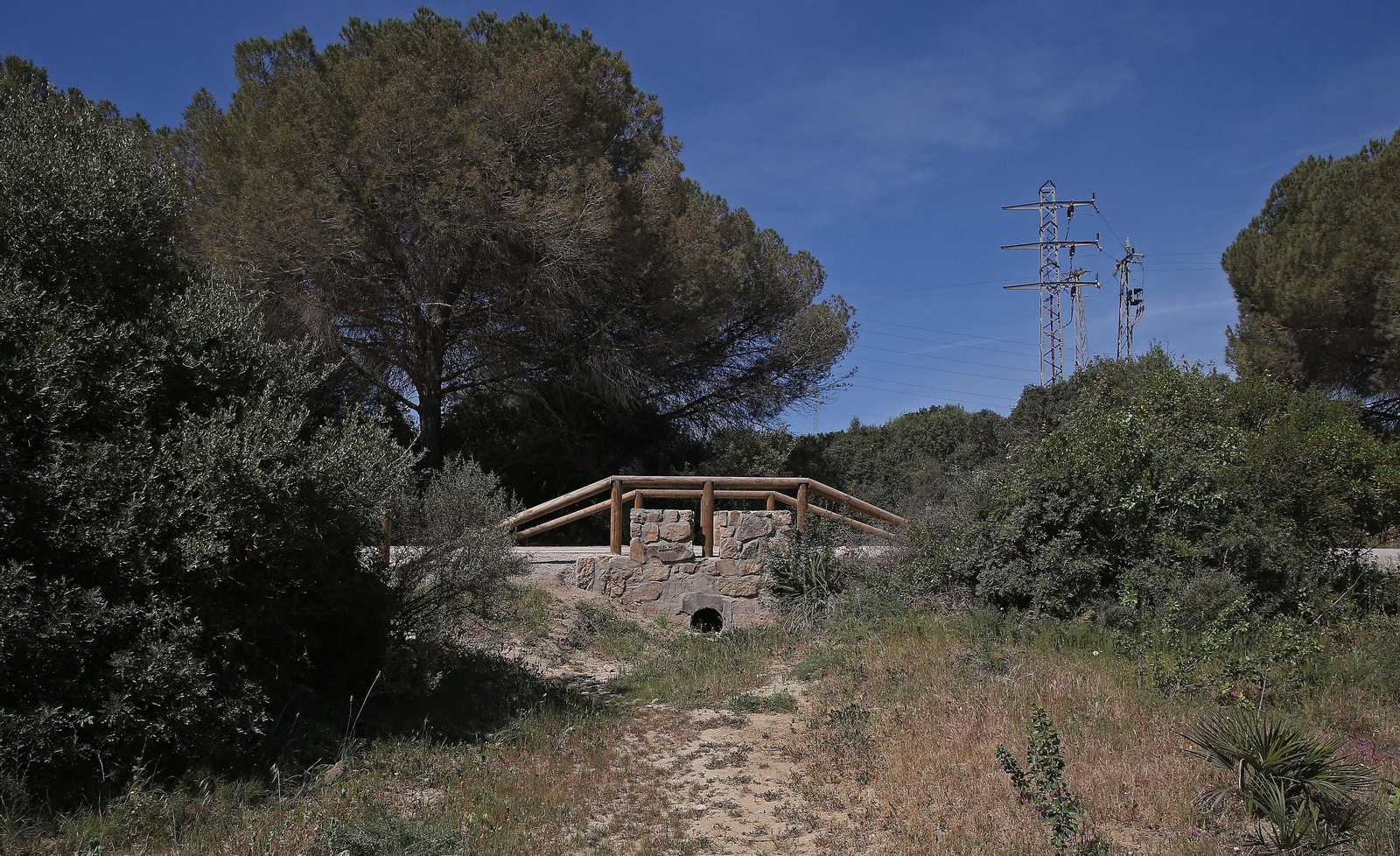 El Pinar del Rey de San Roque, en imágenes